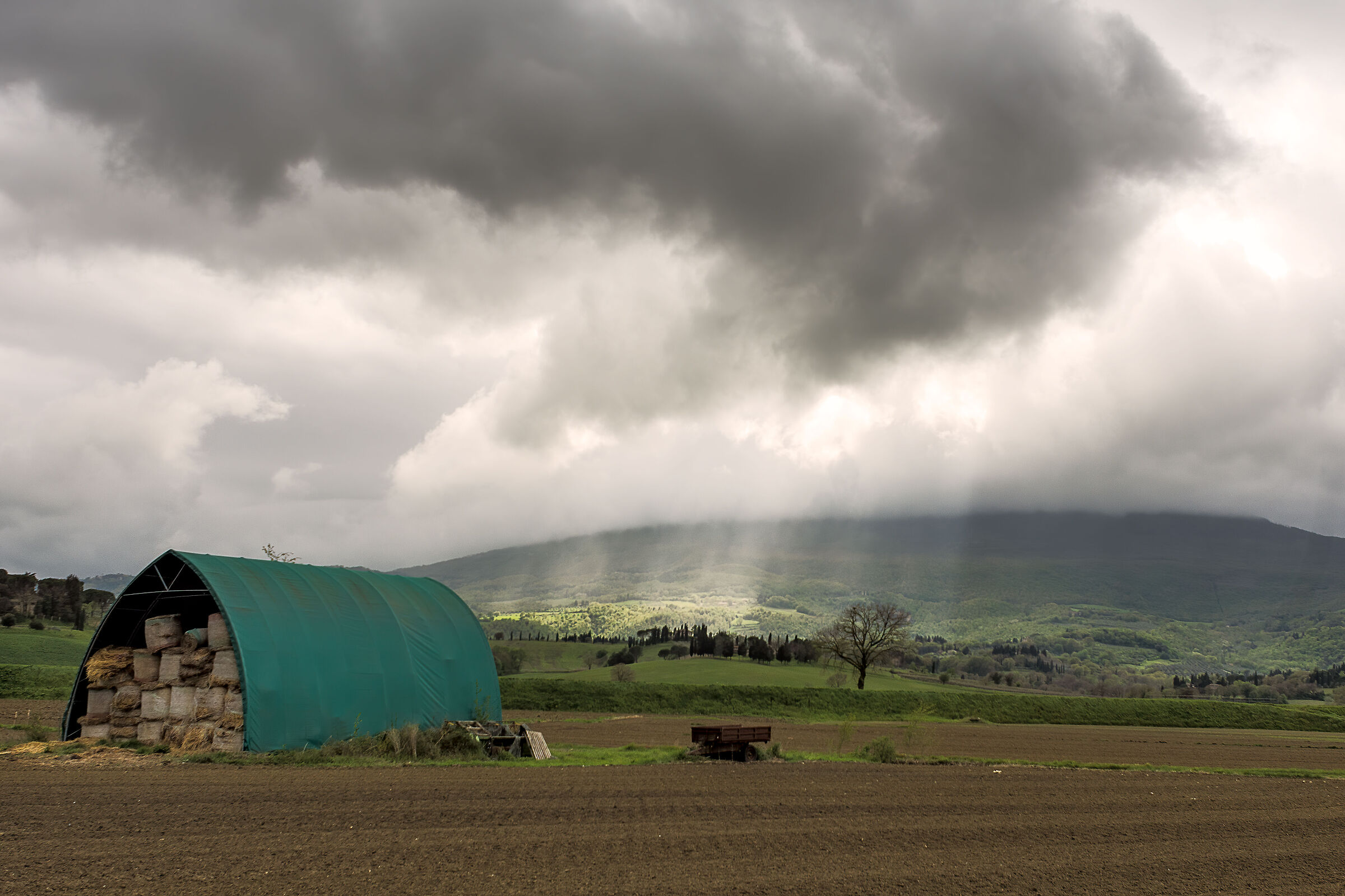 campagna umbra/toscana valdichiana bassa
