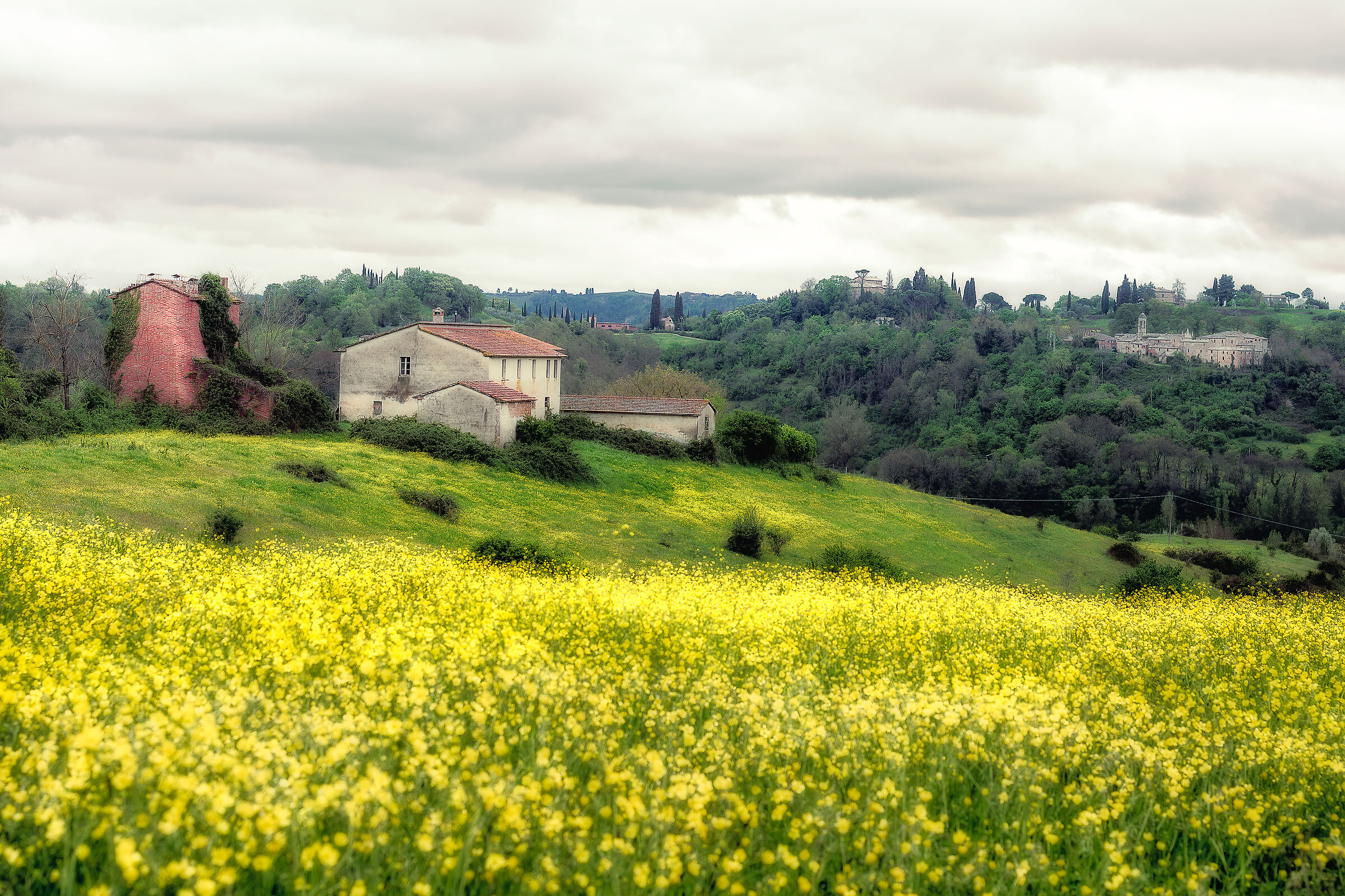 campagna umbra/toscana valdichiana bassa