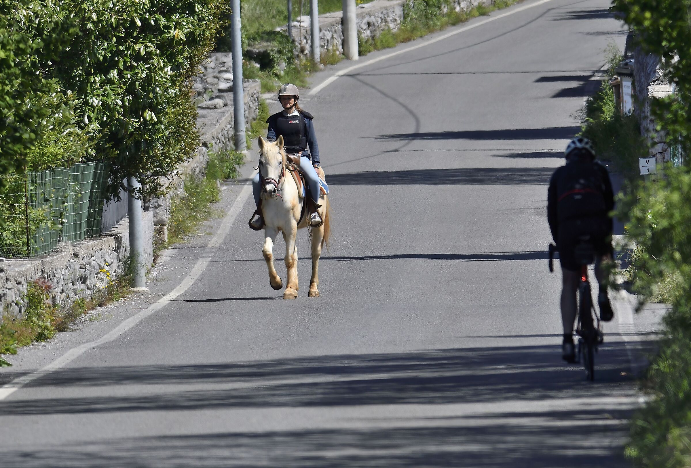 Ecologismo Spinto ...
