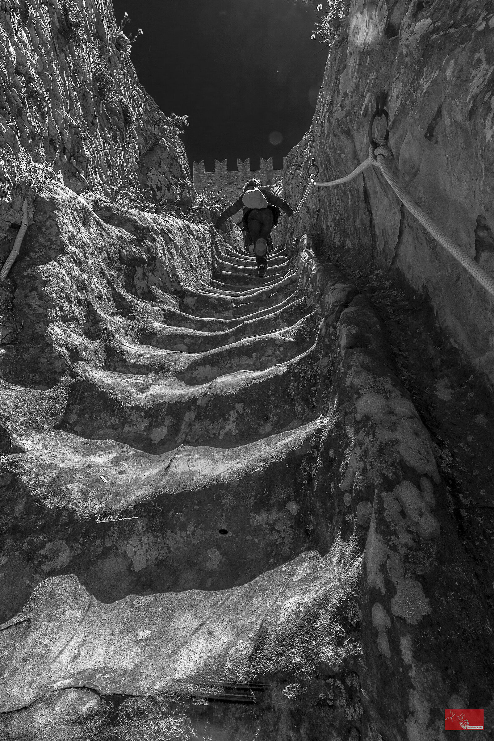 to get to the top...