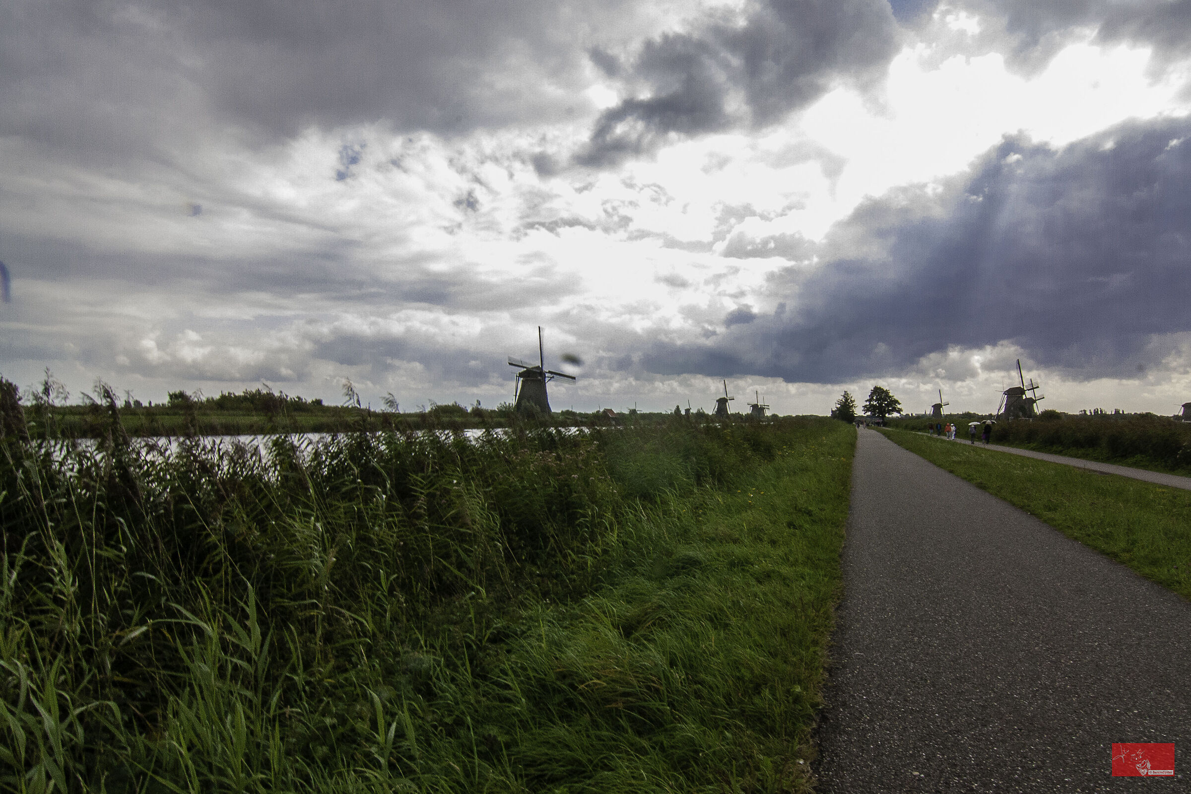 On the hunt for windmills..