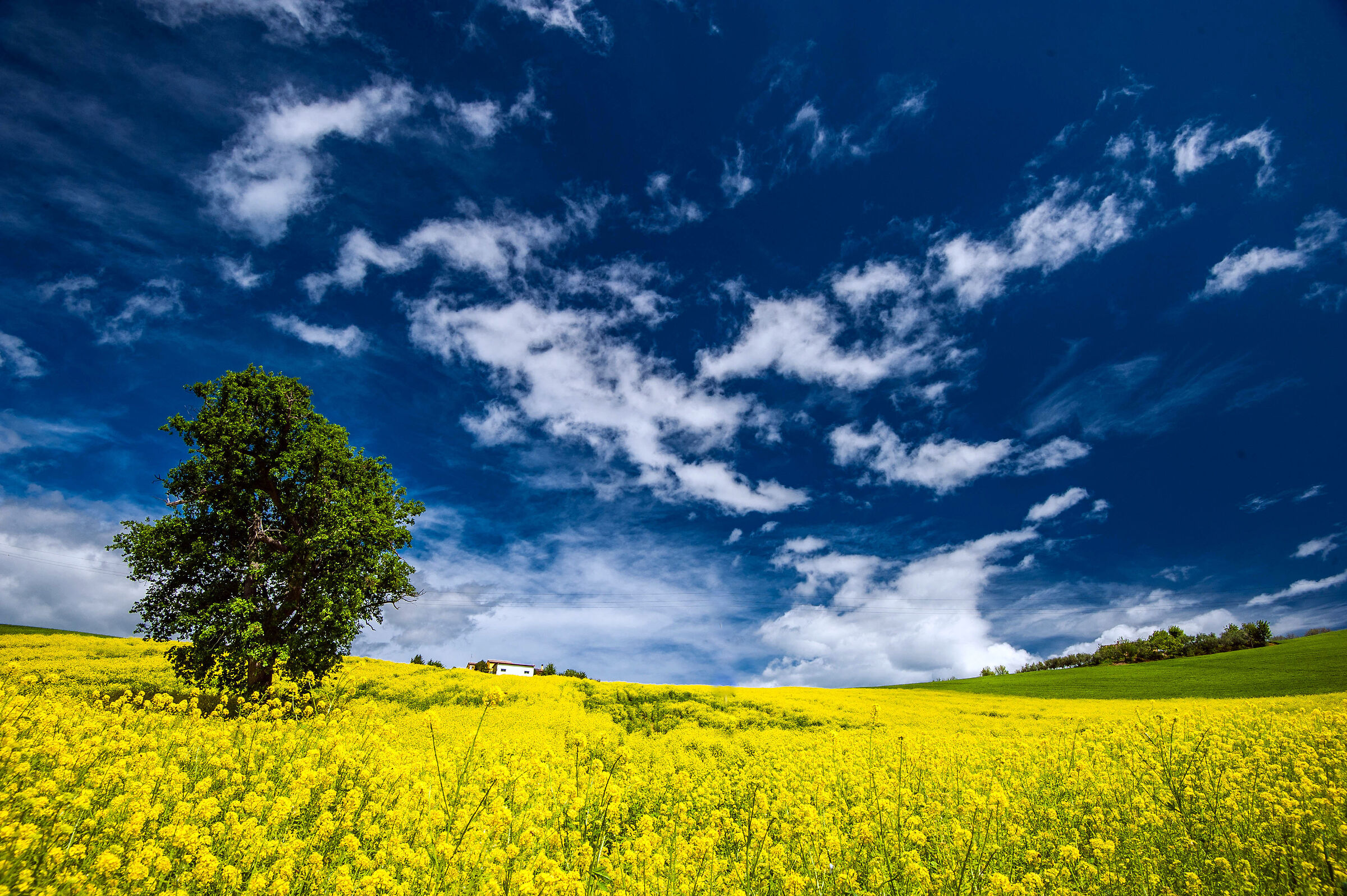 La casa in cima alla collina