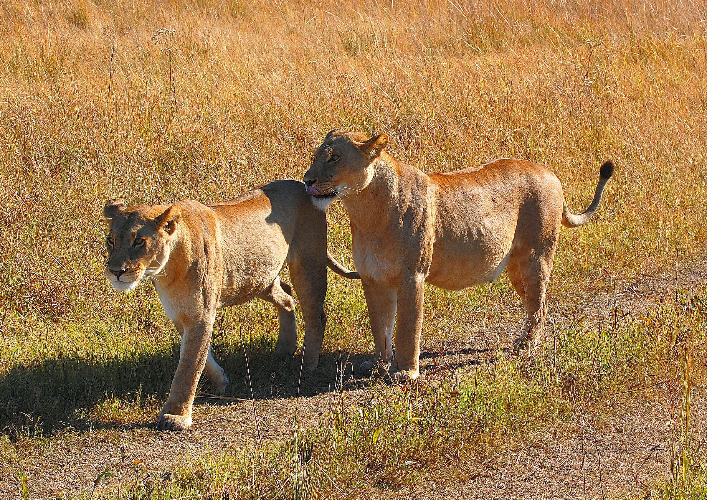 Botswana: mother and daughter