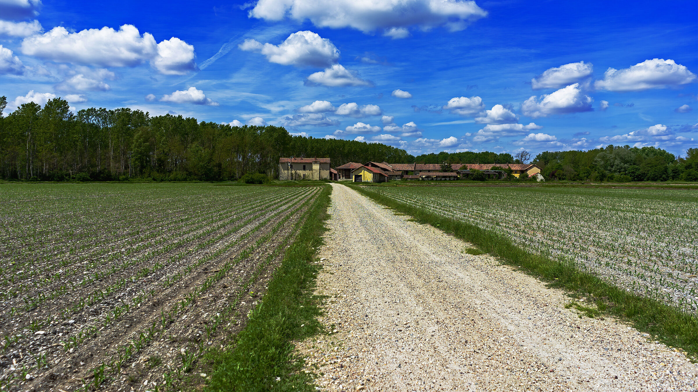 La strada