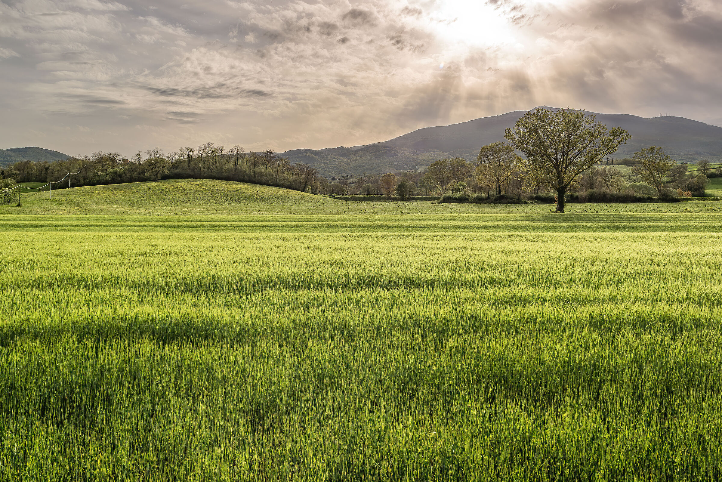 campagna toscana monte cetona lato est