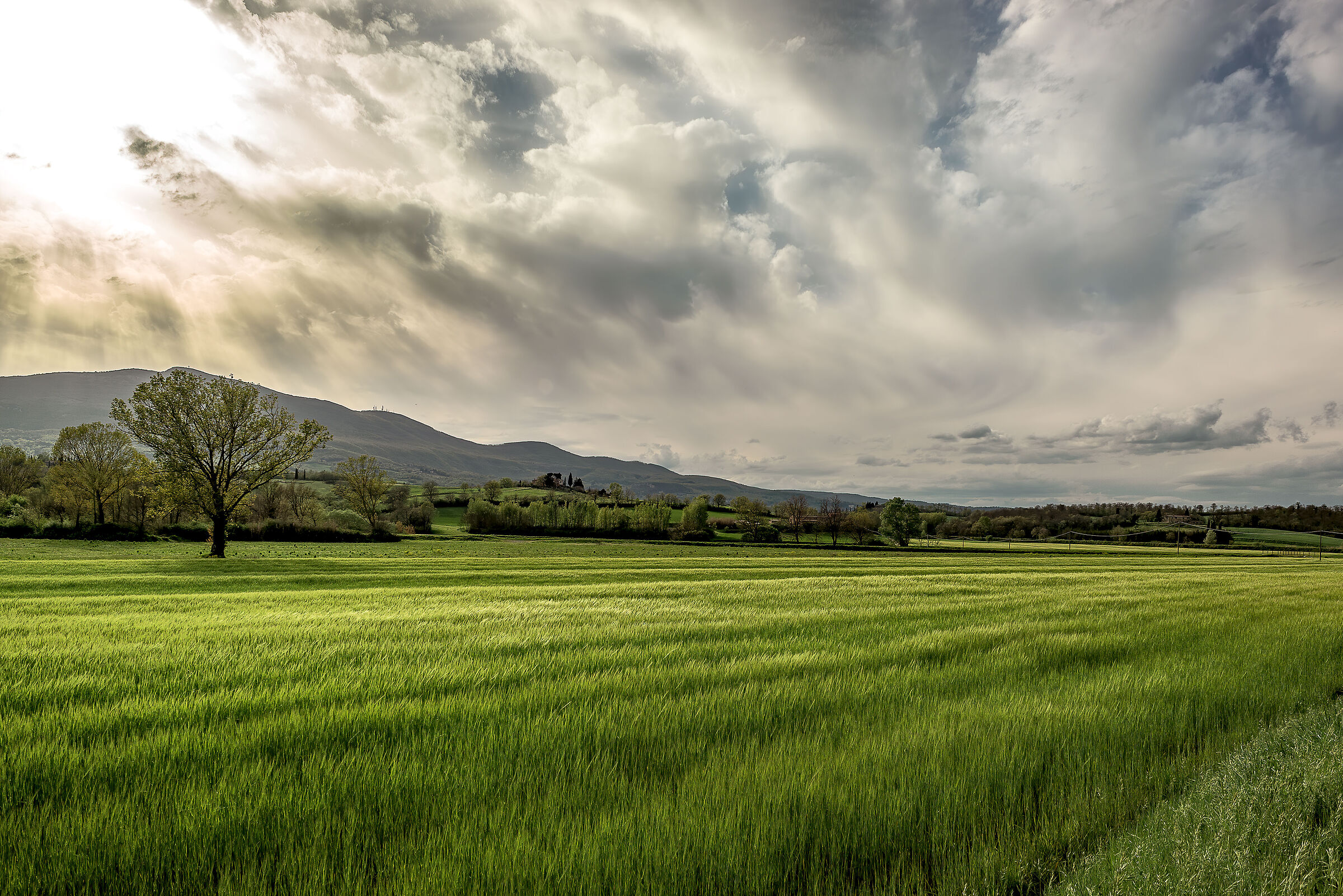 campagna toscana monte cetona lato est