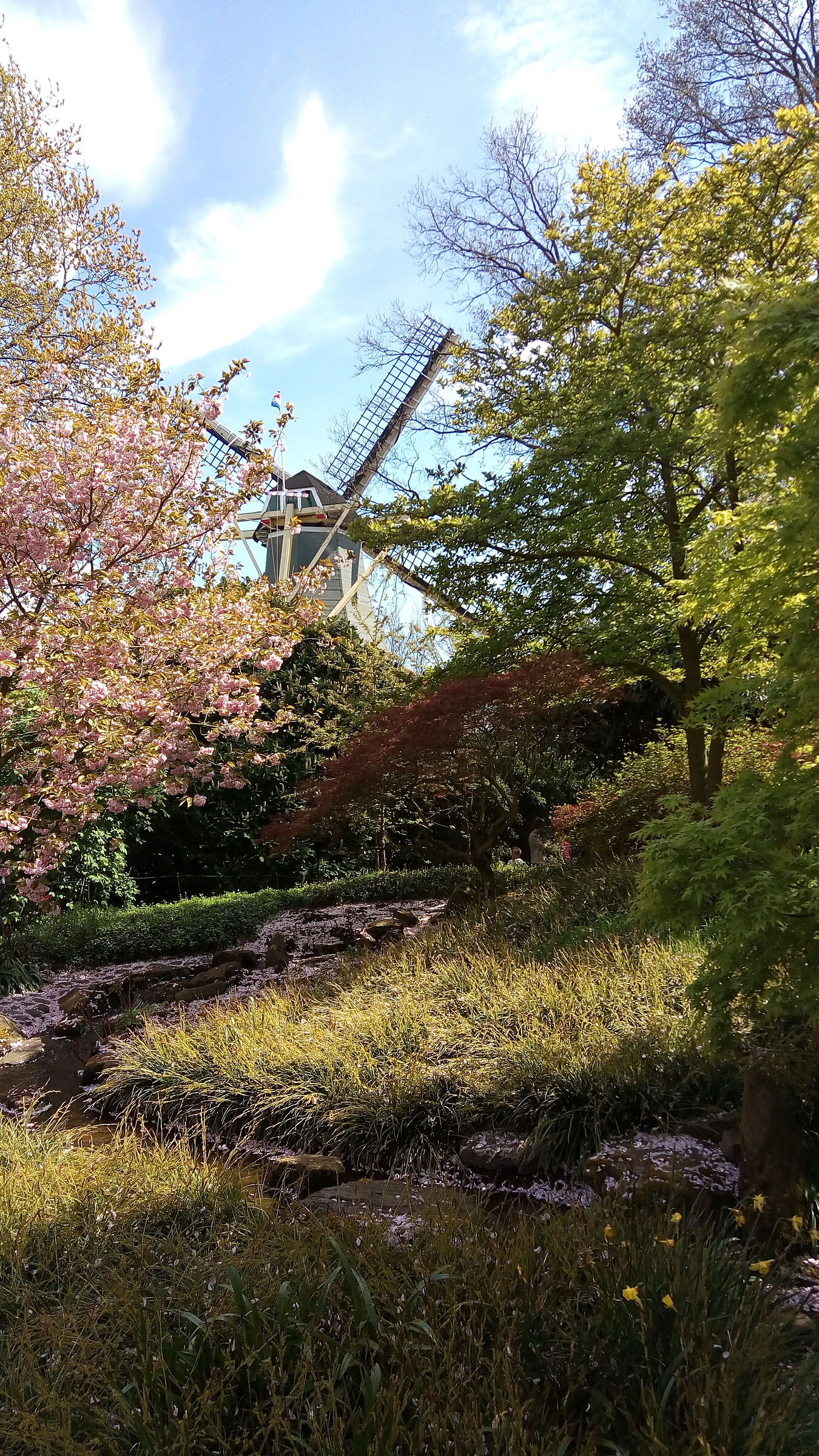 Holland Tulipan Park