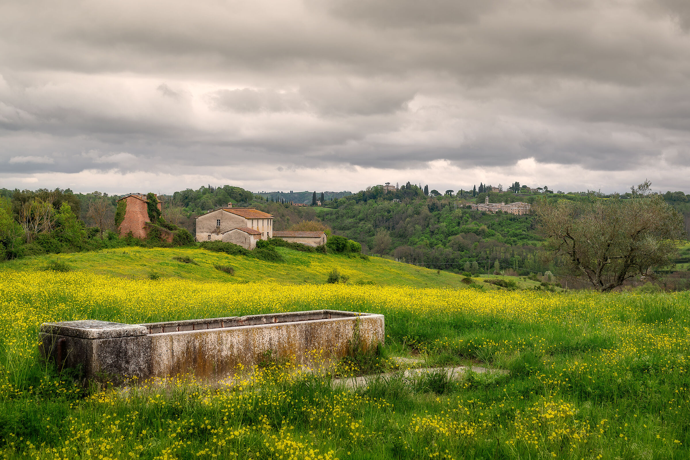 campagna umbra valdichiana bassa