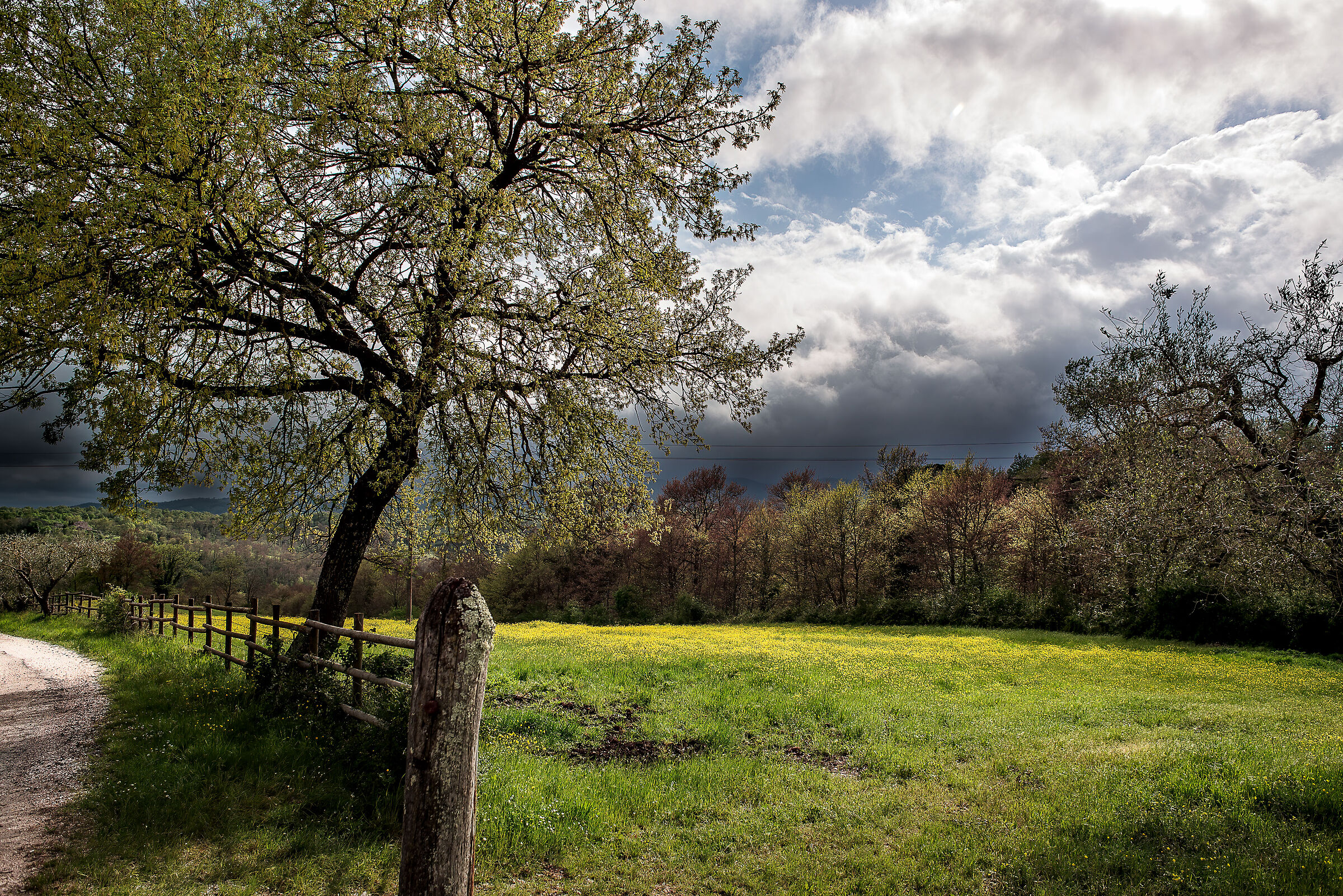 campagna umbra valdichiana bassa