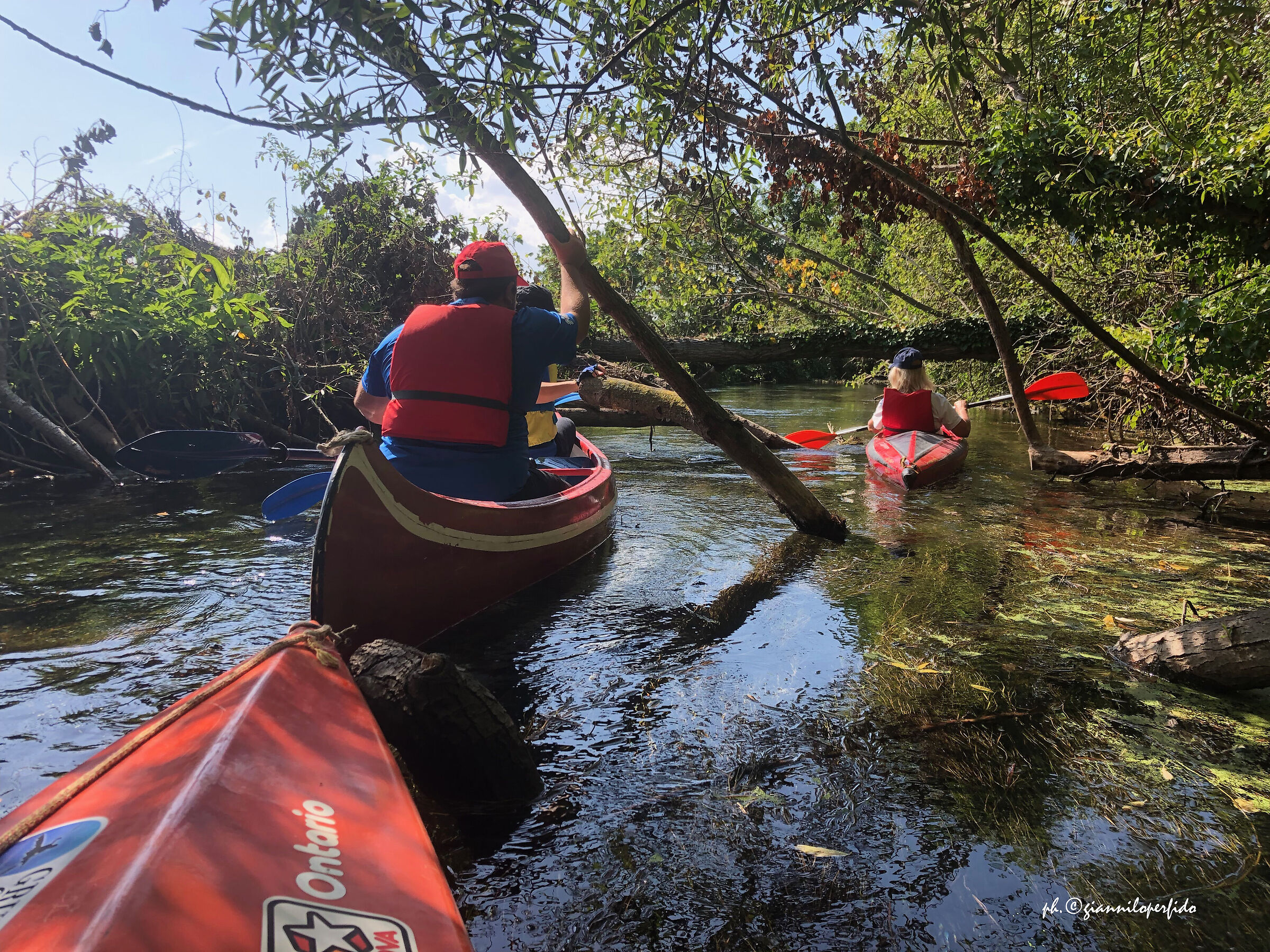 Intreccio sul Cavata