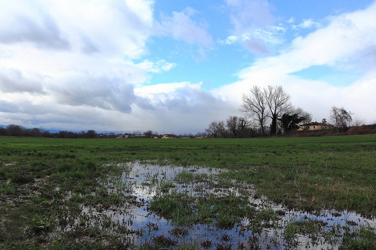 Temporanea schiarita