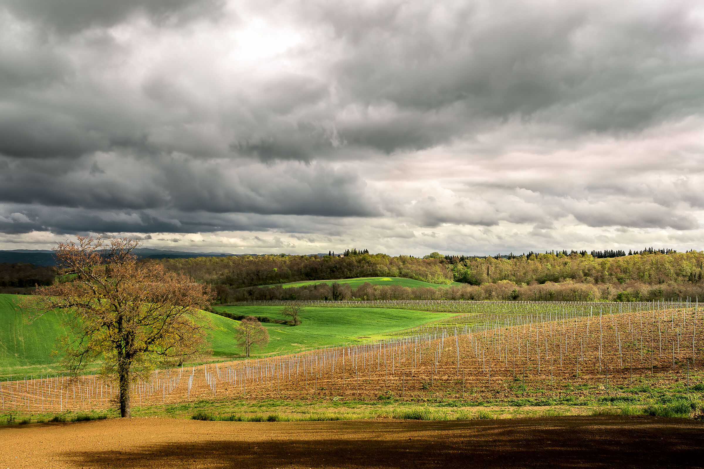 campagna toscana monte cetona lato est