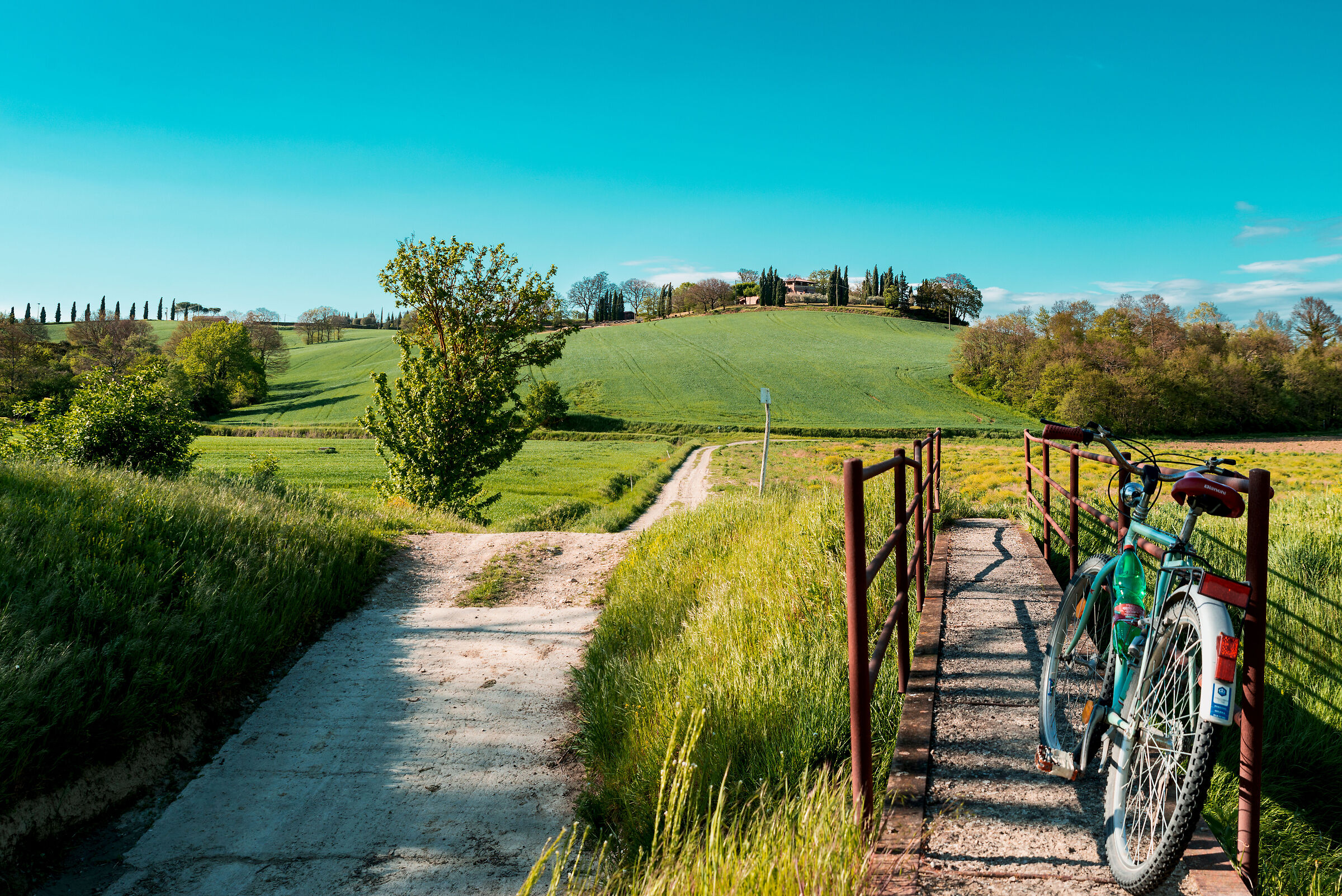 campagna toscana monte cetona lato sud/ovest