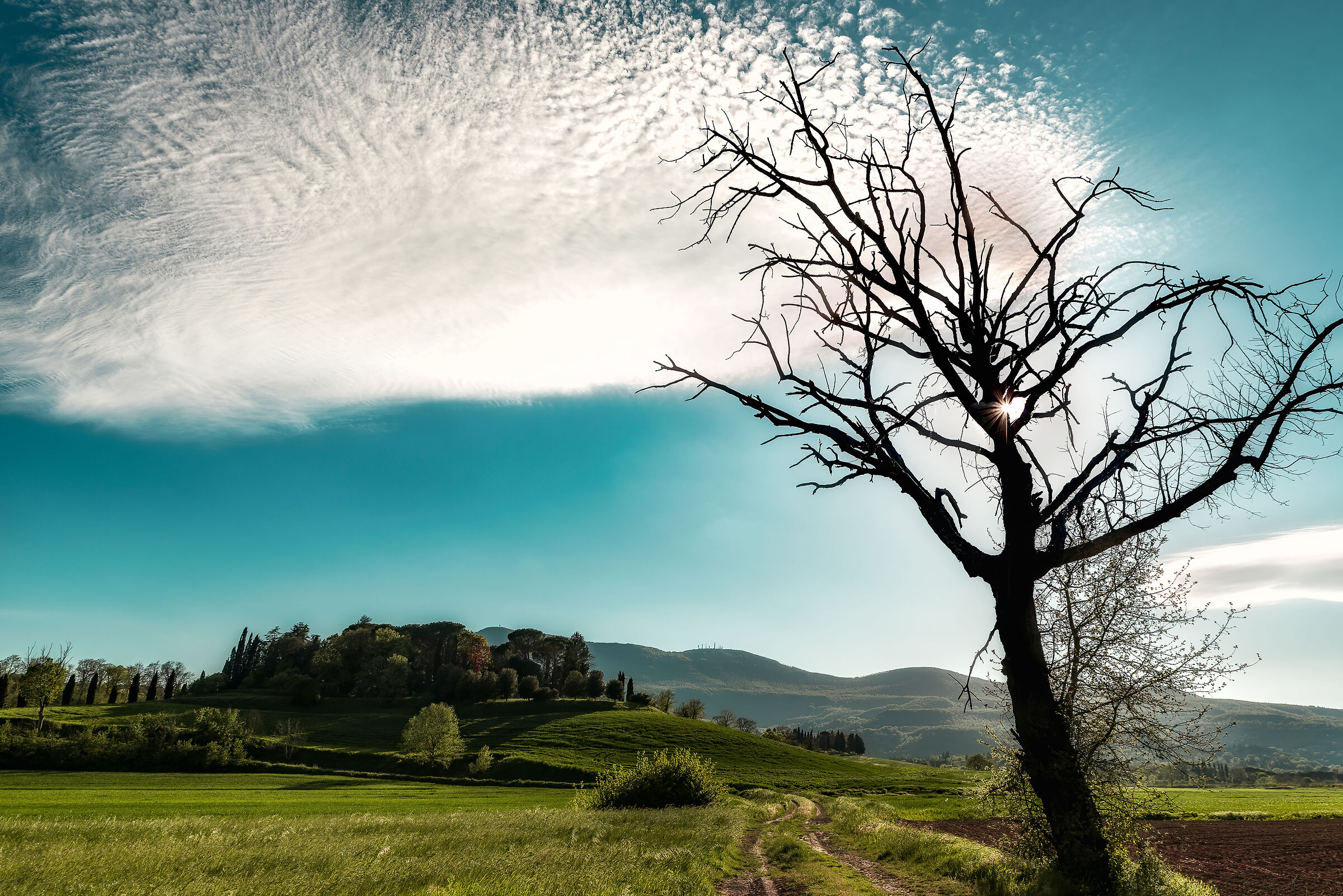 campagna toscana monte cetona lato est