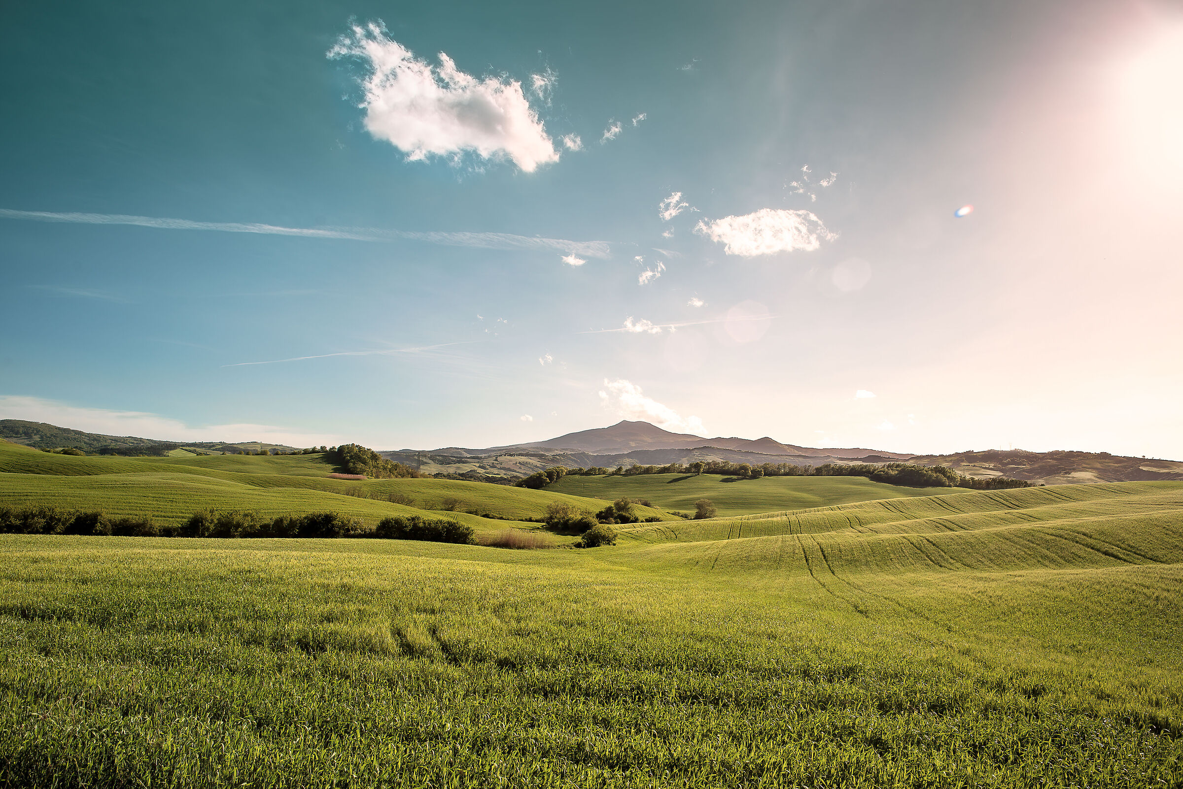 val d'orcia sud ,sullo sfondo Amiata