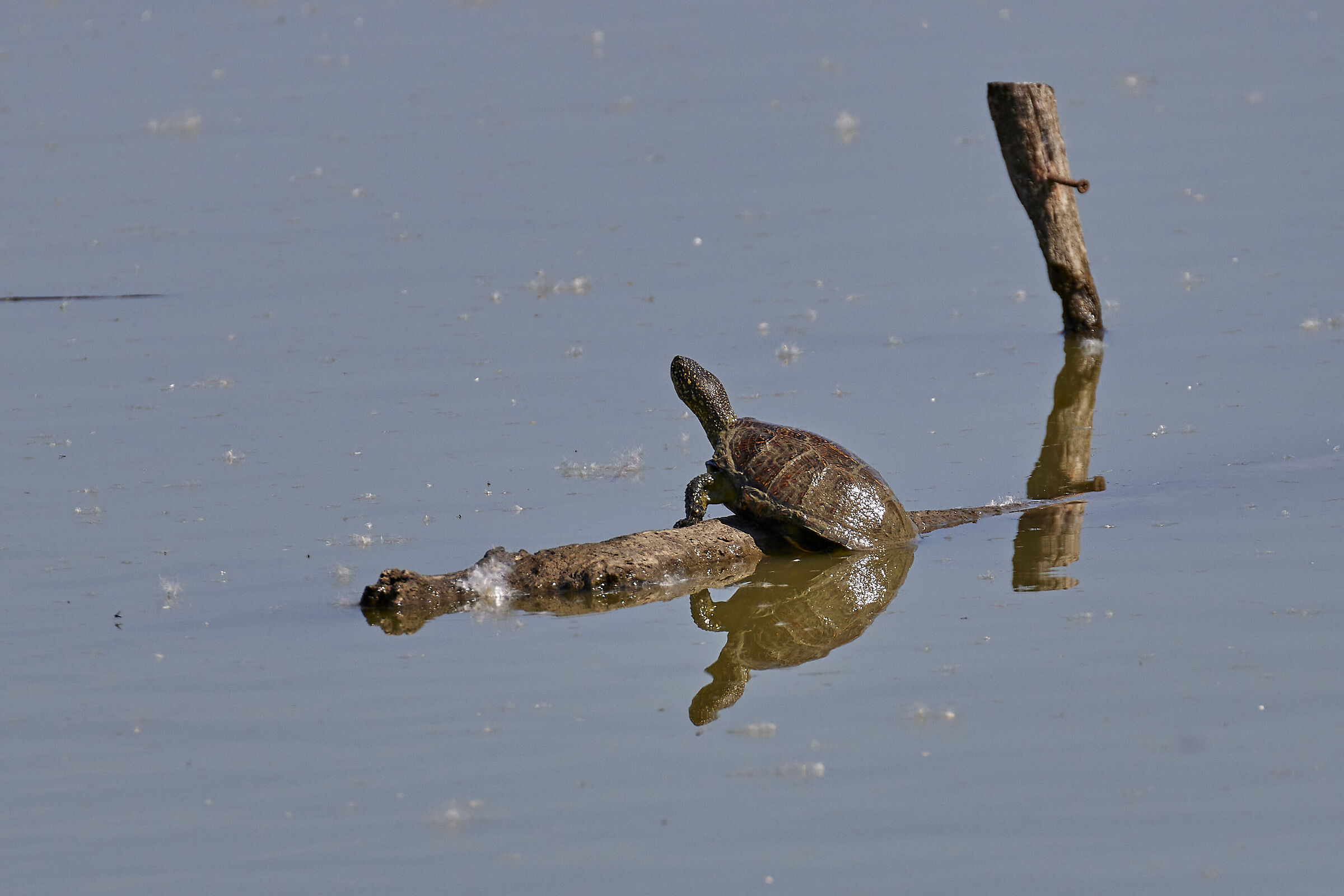 Prendo un po' di sole