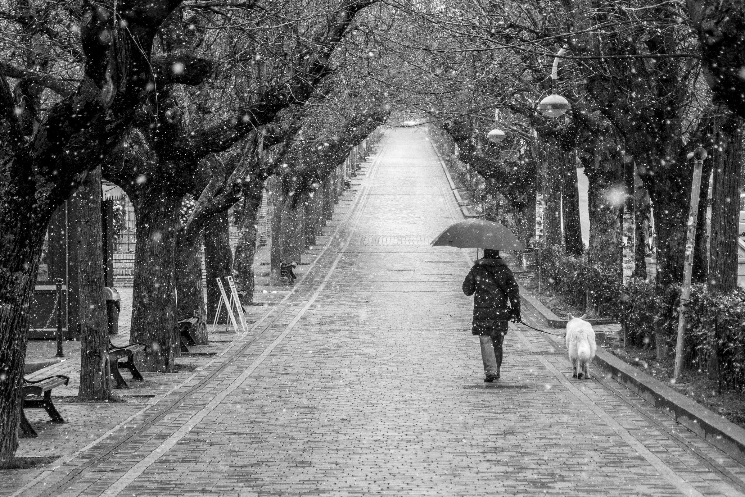 Con calma sotto la neve..