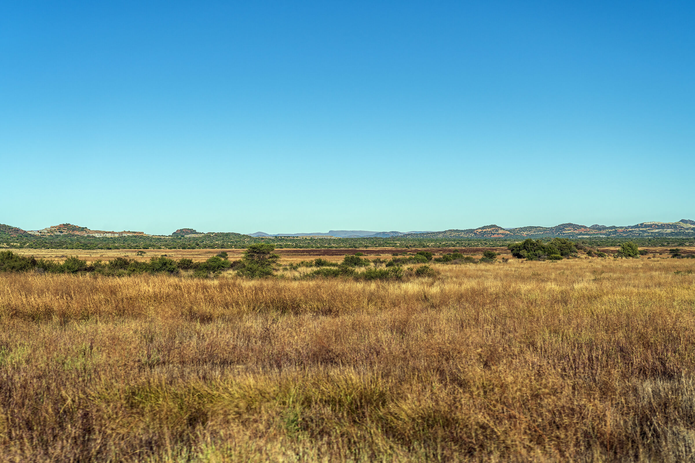Pilanesberg National Park, South Africa