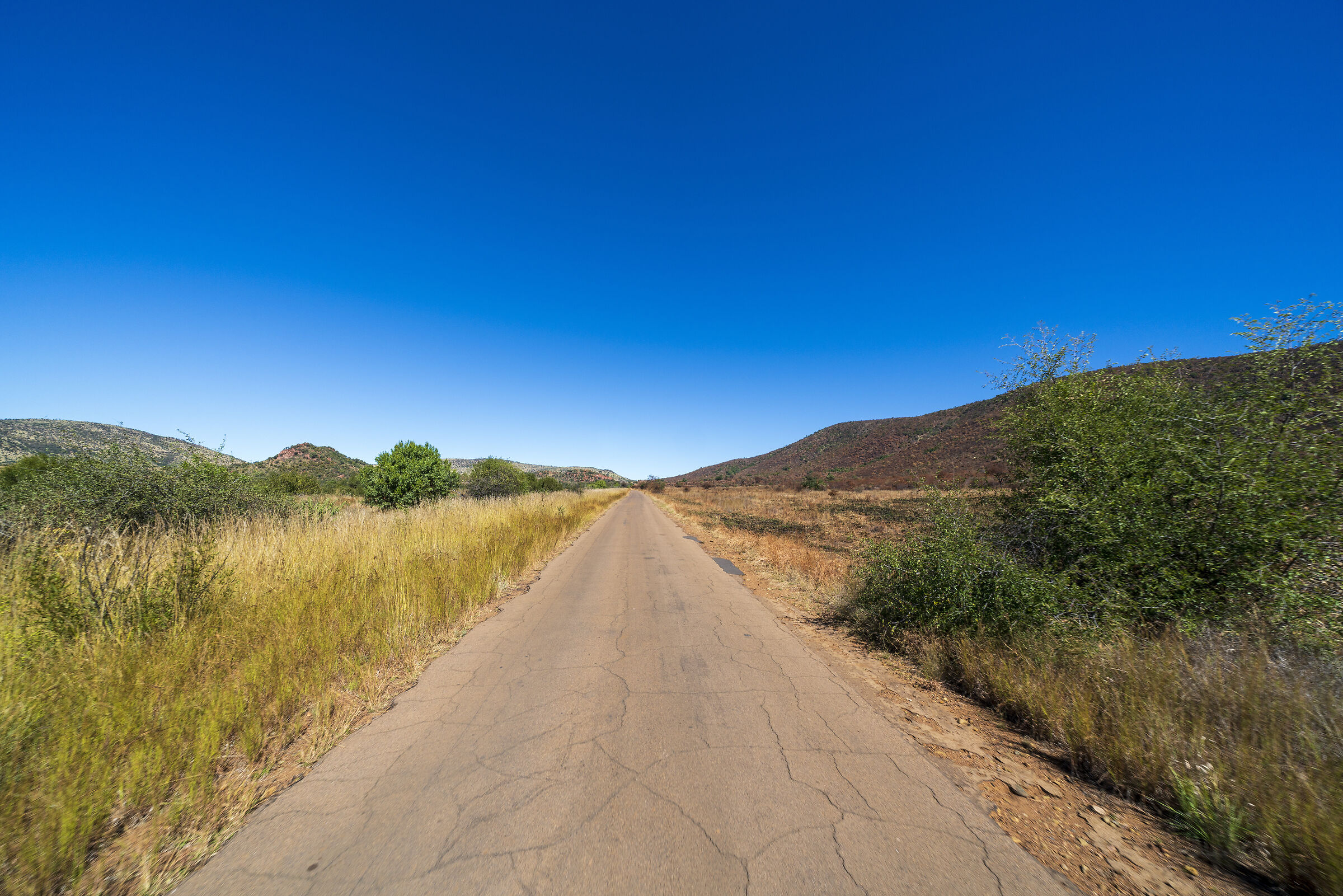 On the way to the Game in Pilanesberg