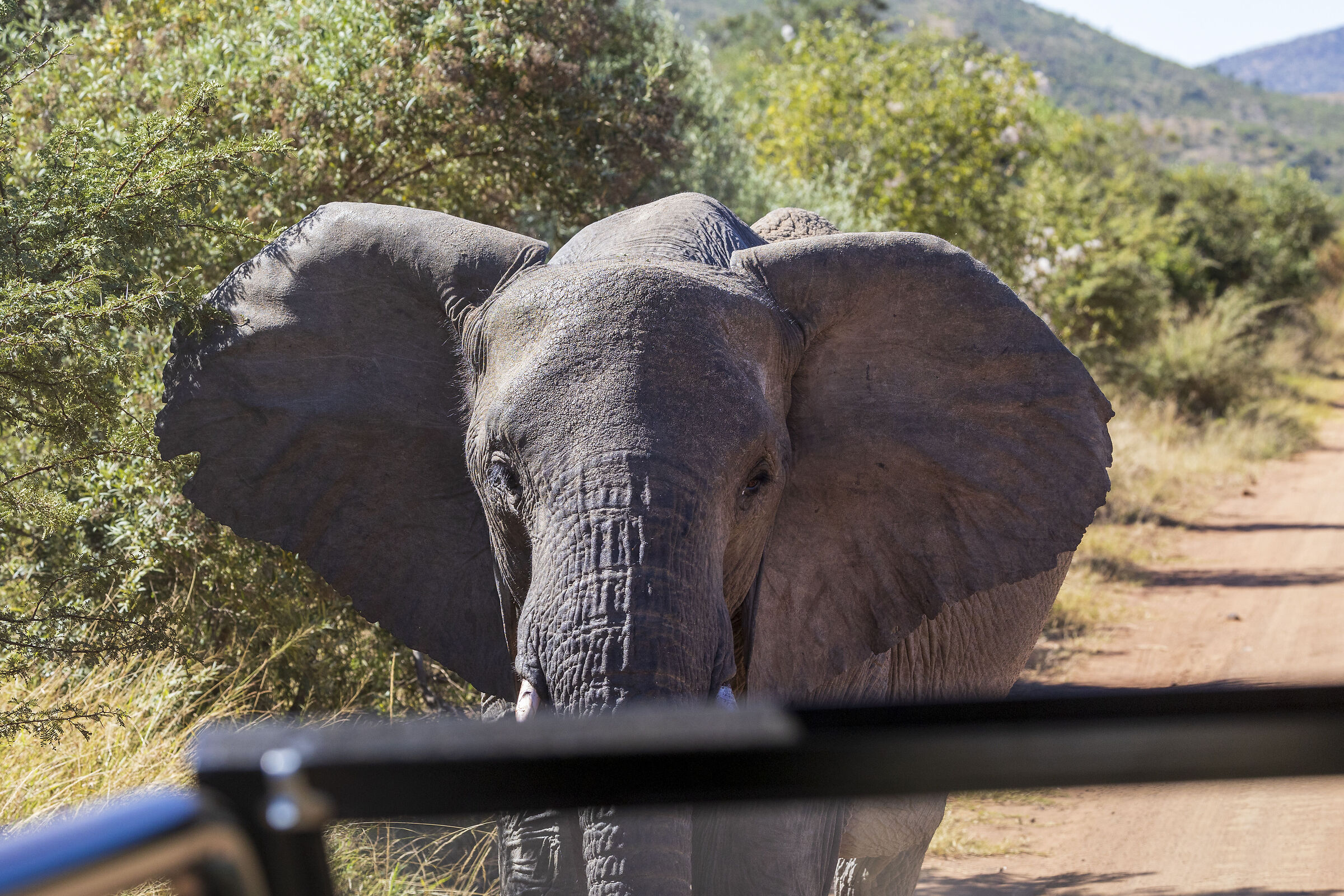 A close encounter....