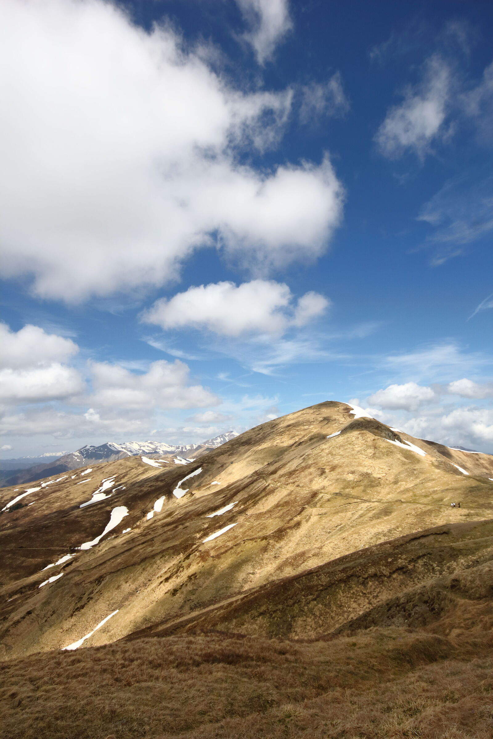 Appennino tosco-emiliano