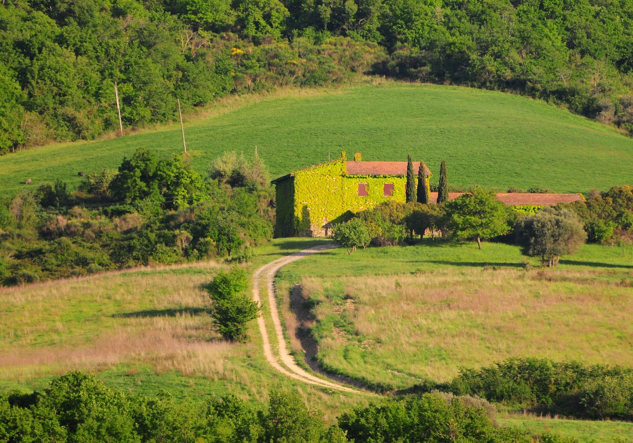 the green house