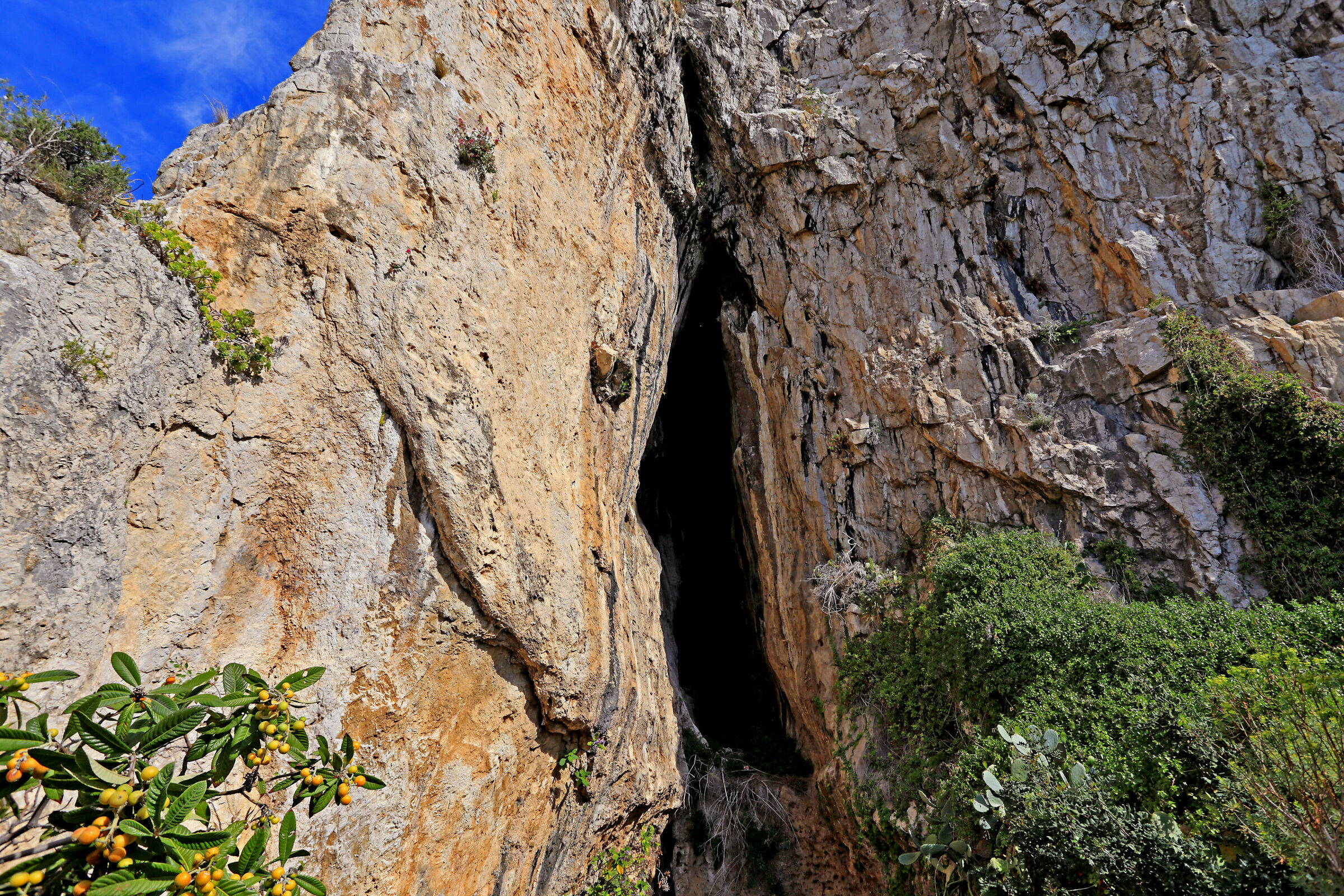 Barma Grande, Dosing