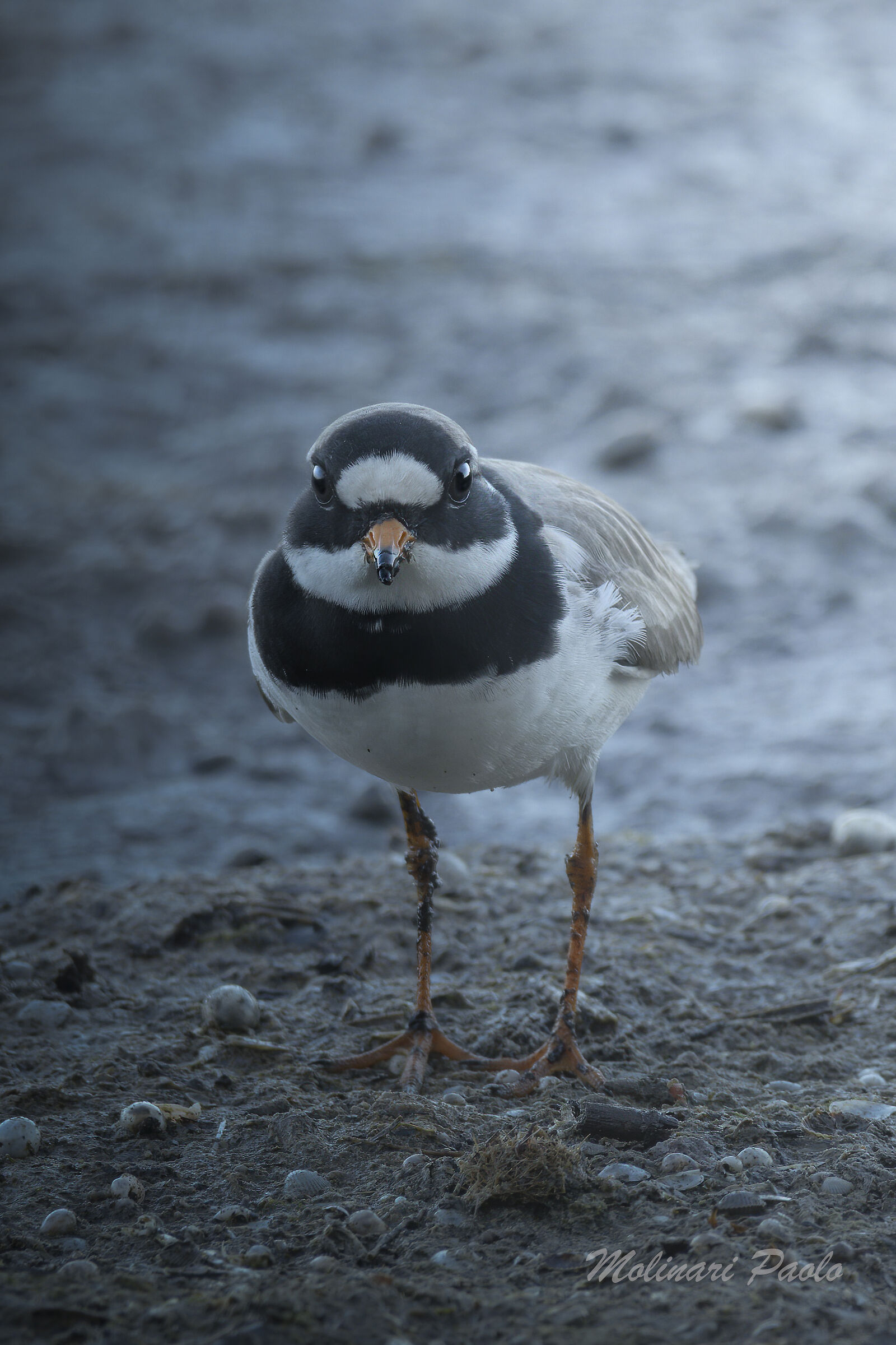 Are you looking at me?