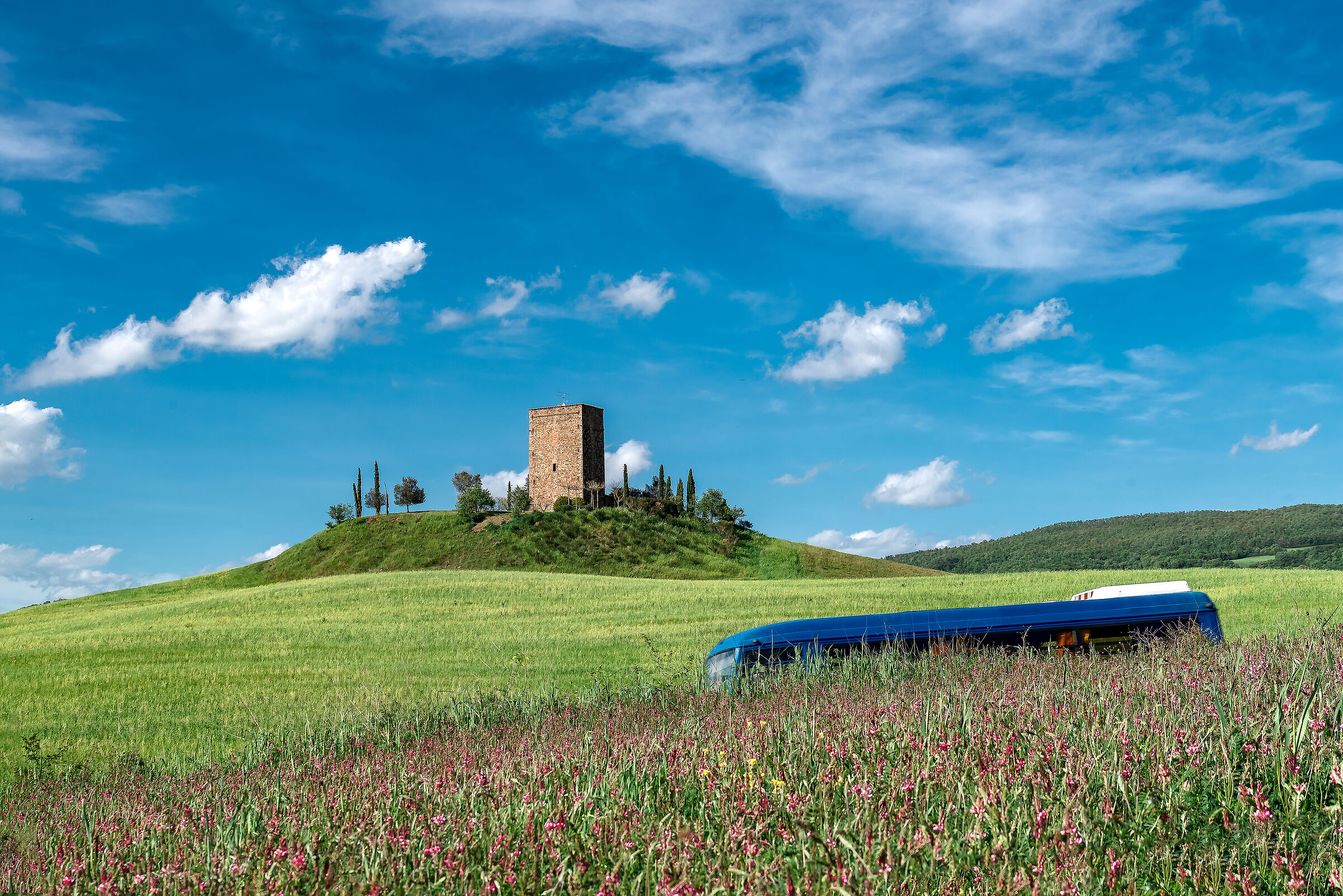 torre Tarugi,pienza(si)