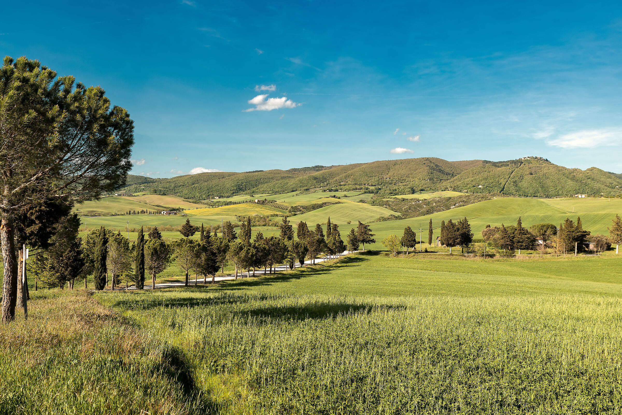 val d'orcia sud