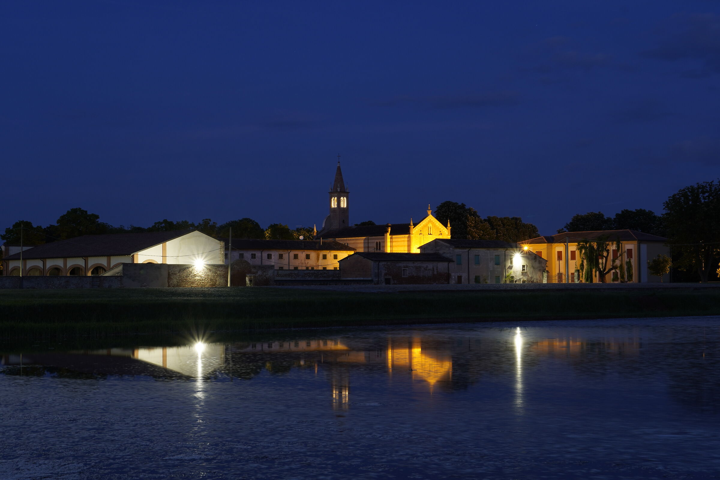Reflections on Rice Paddies