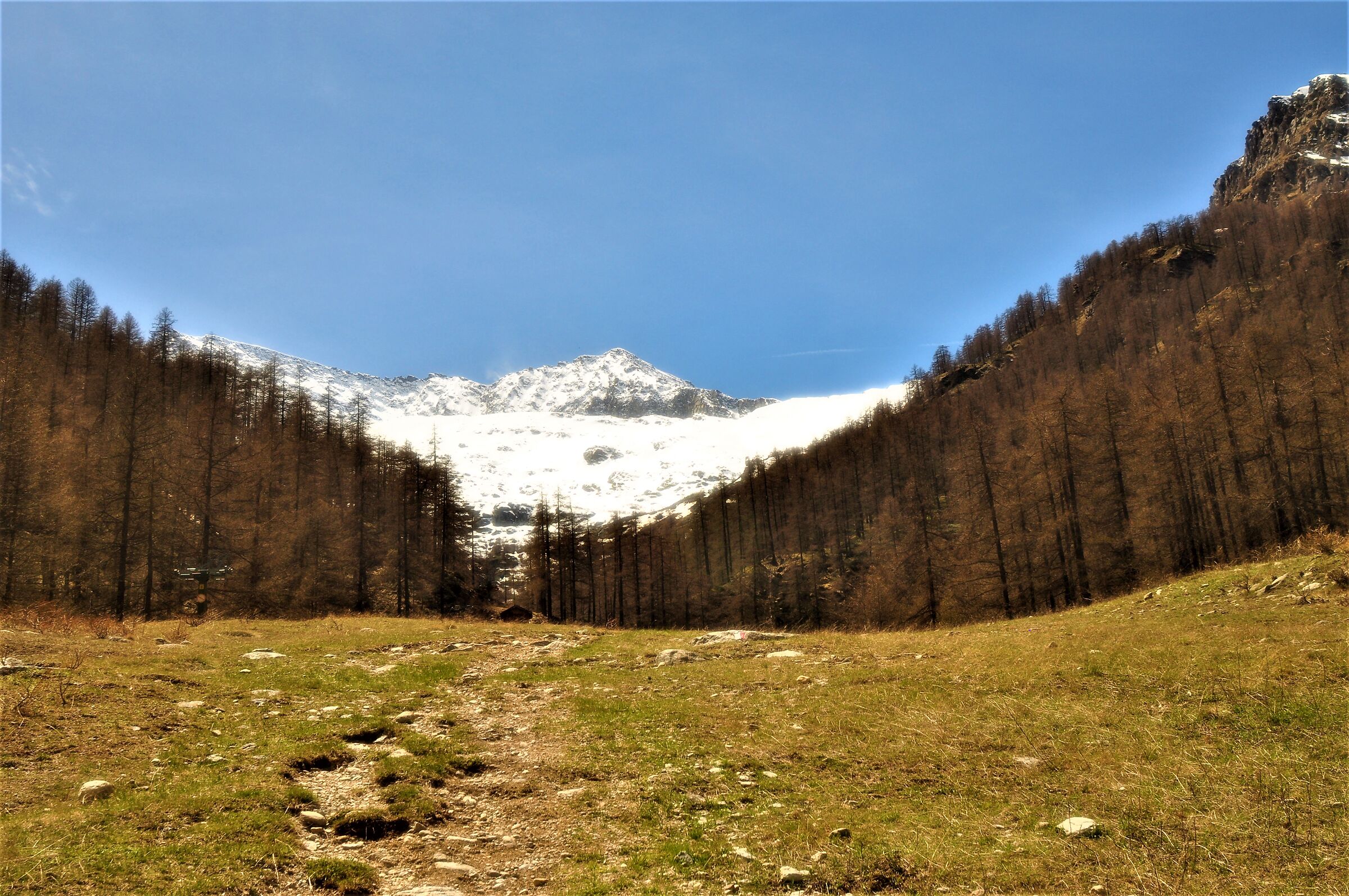 Salendo per il Jervis