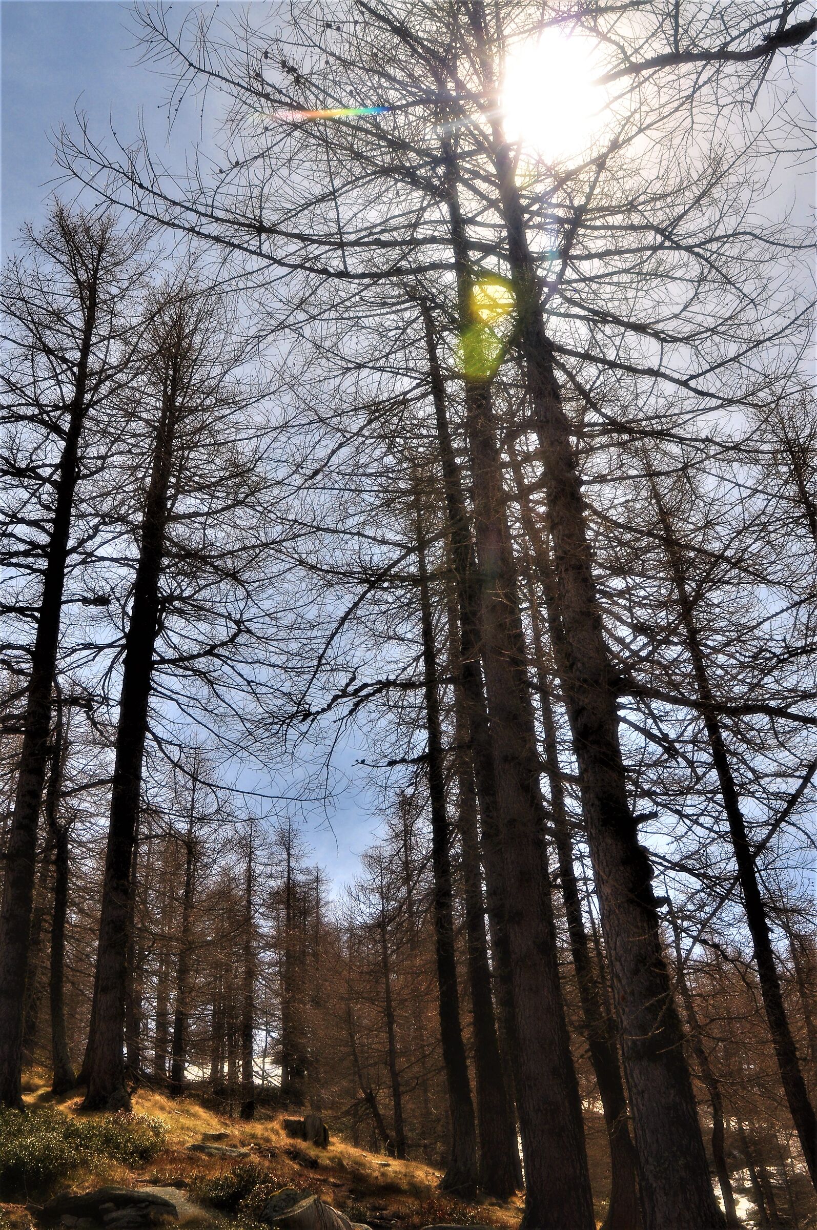 e' tornato il sole