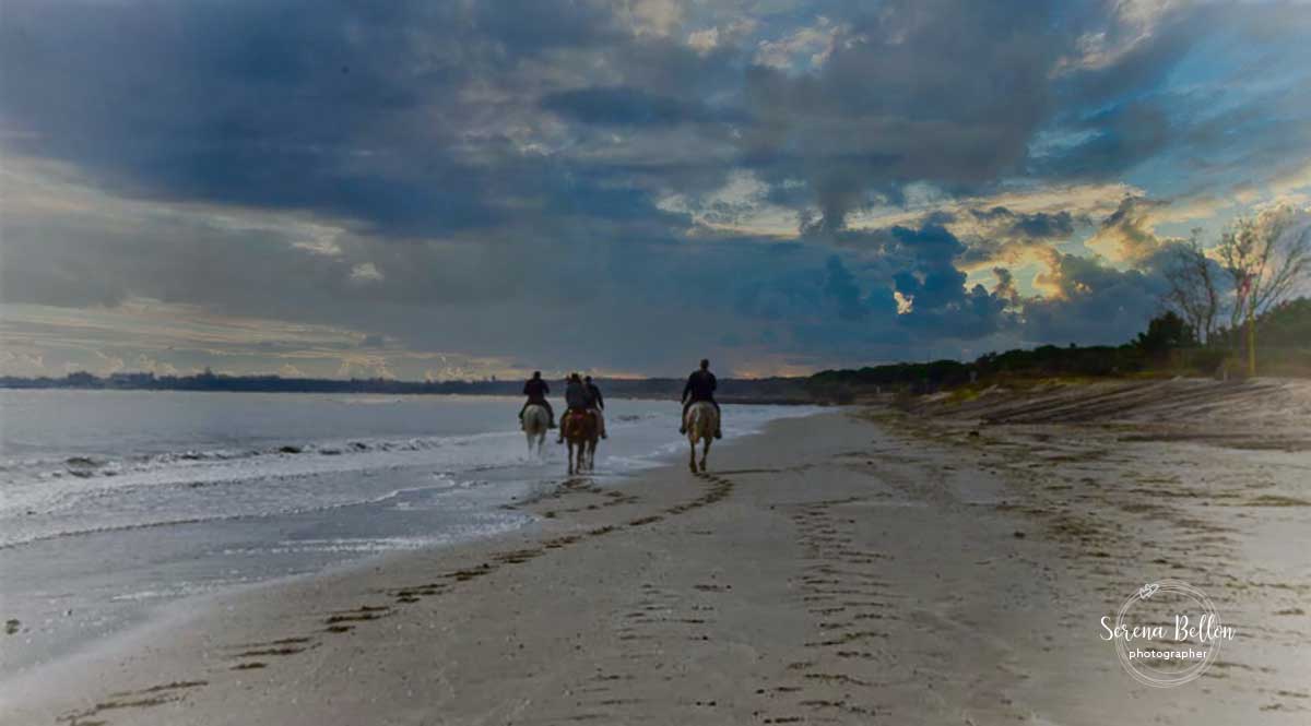 chi monta un cavallo prende in prestito la libertà