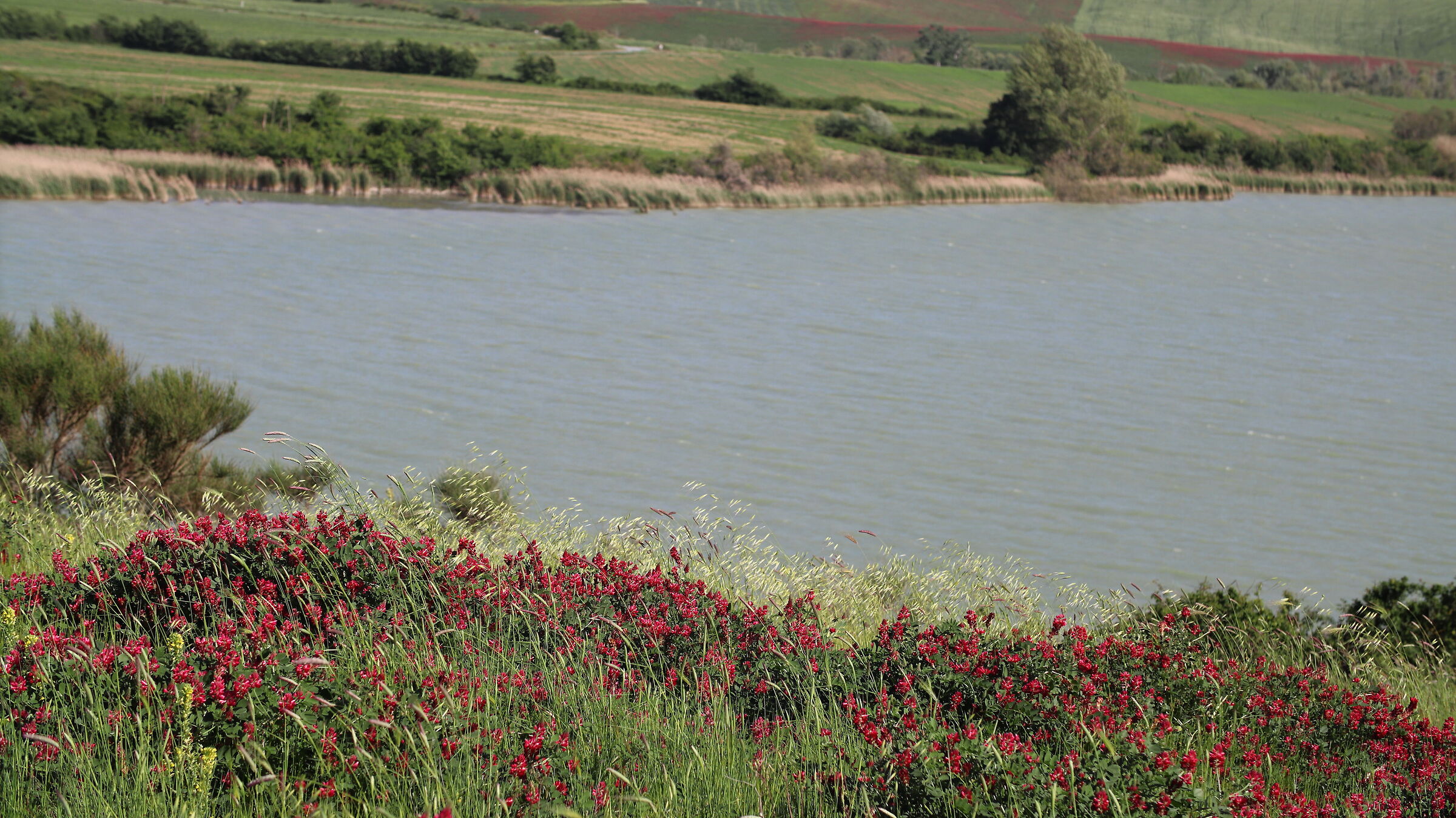 Lake Santa Luce. Tuscany