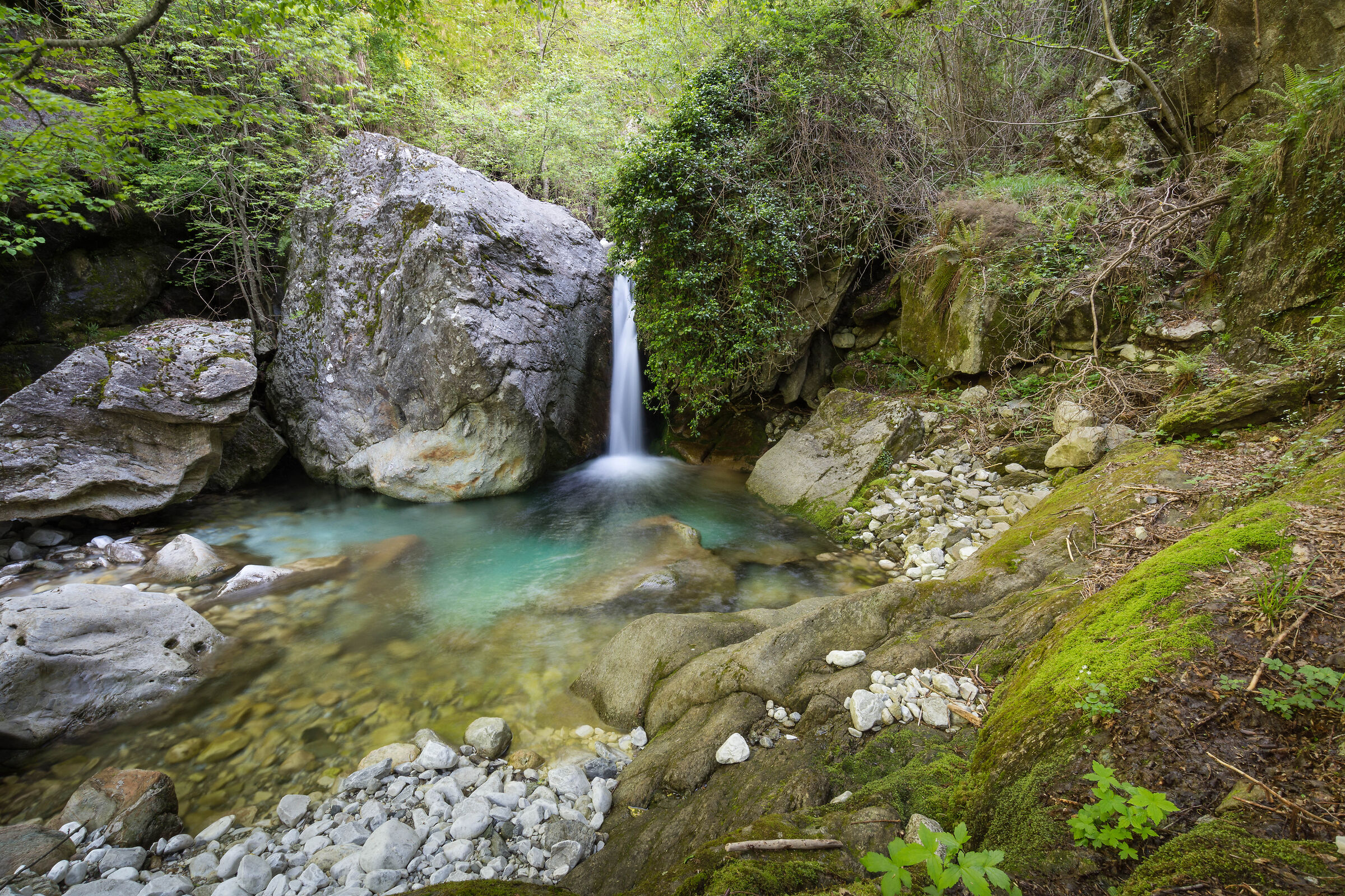 Canale Regolo  forno
