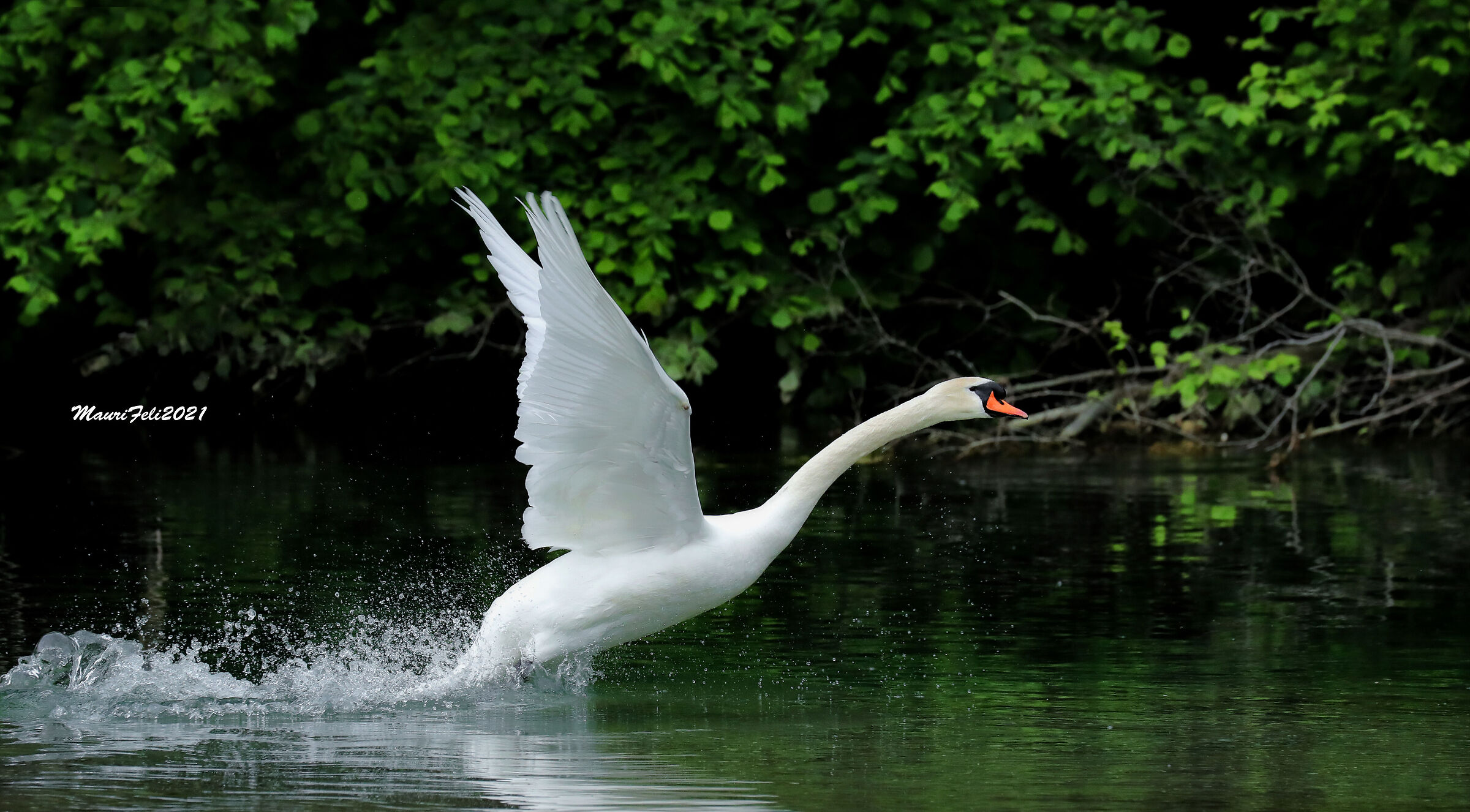 " Take-off..."