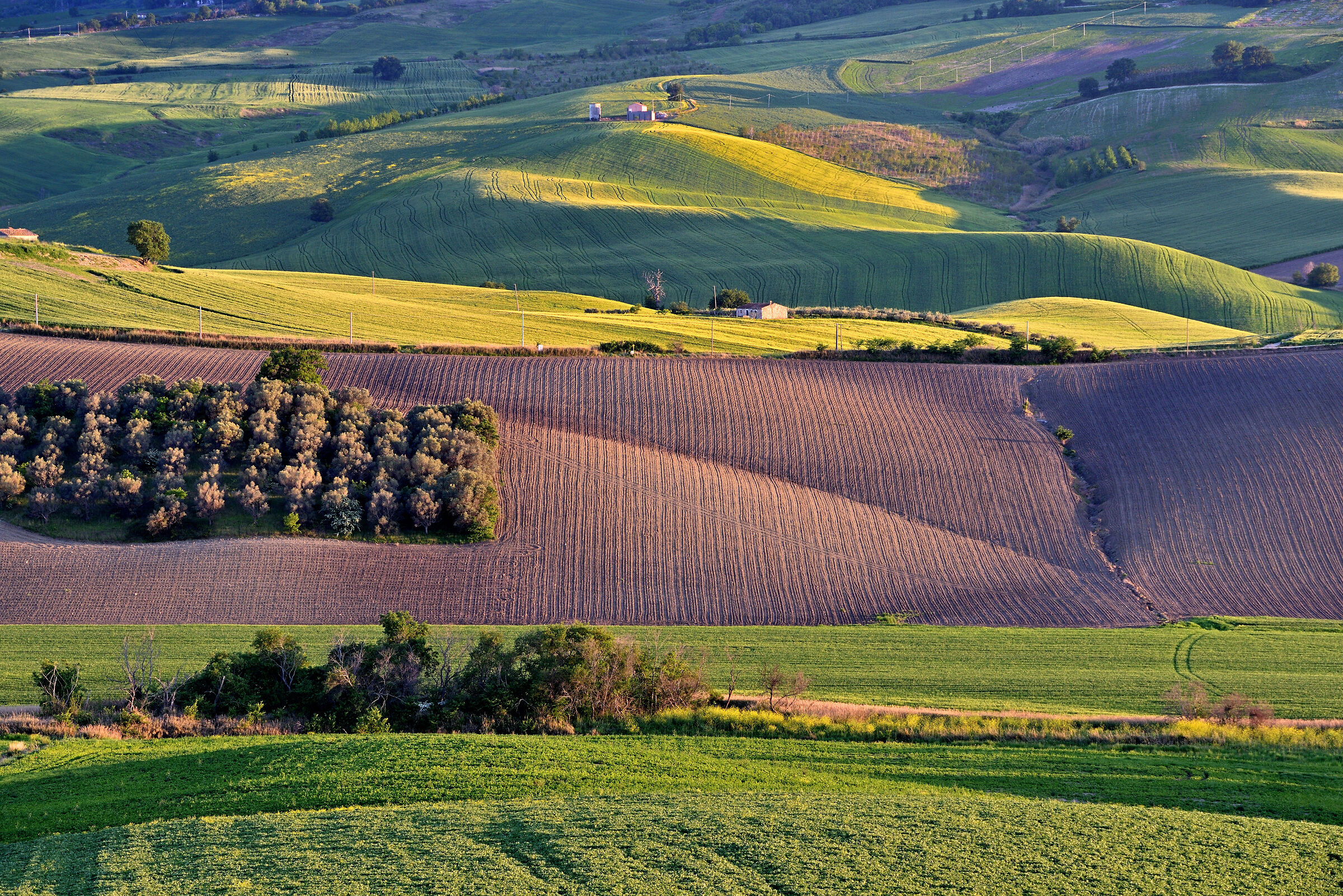 I caldi colori del tramonto