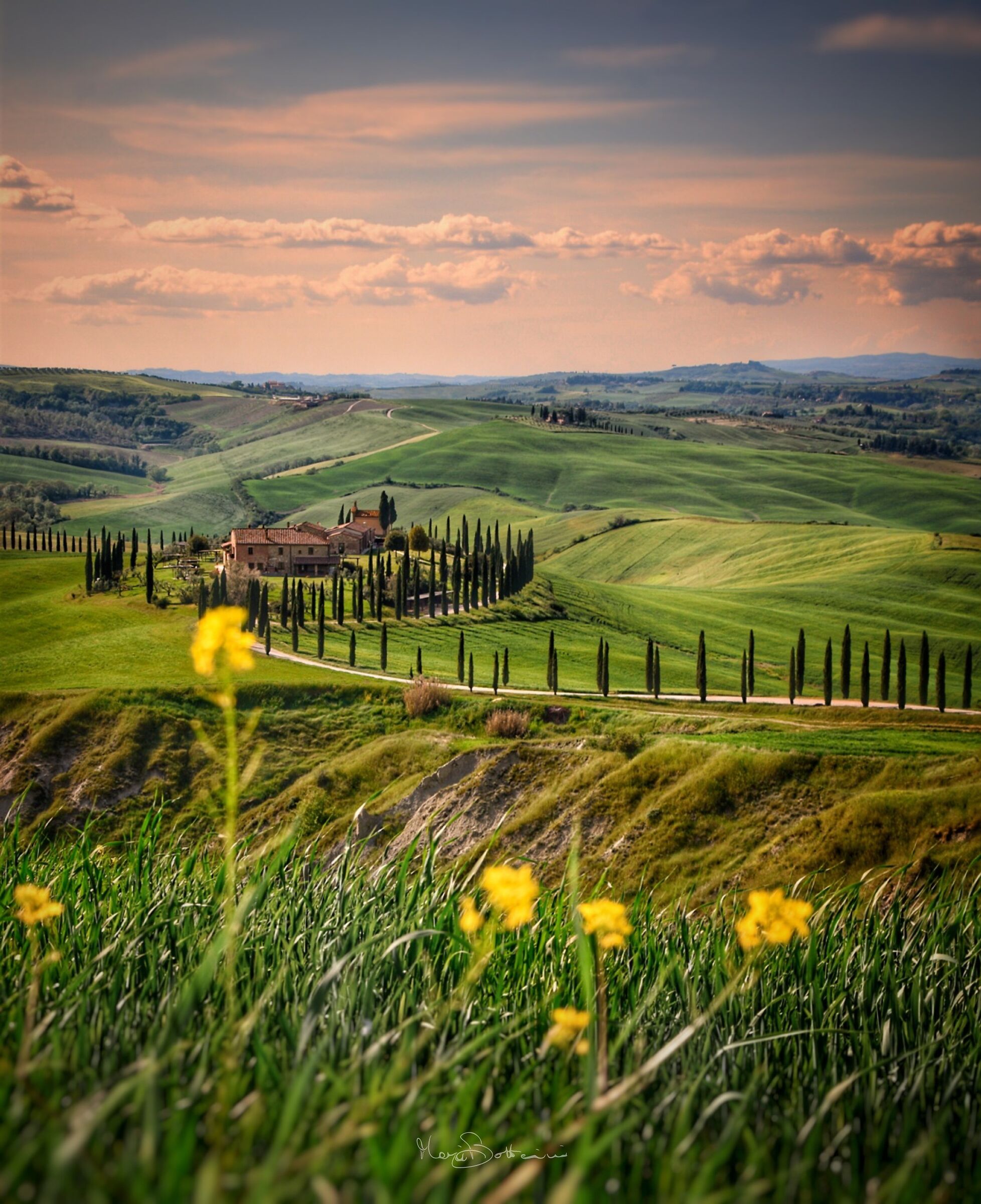 Le Crete senesi