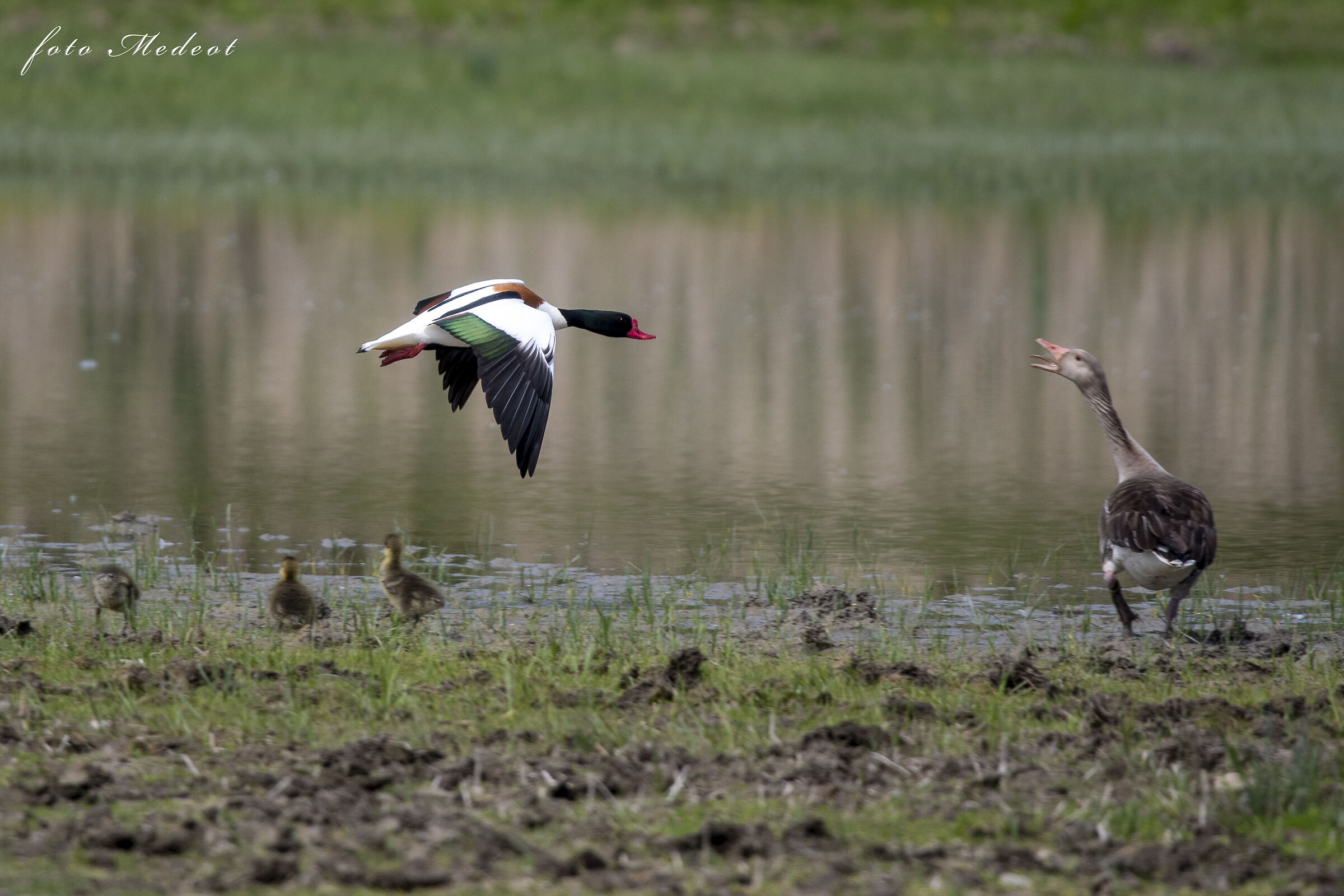 In volo troppo vicino
