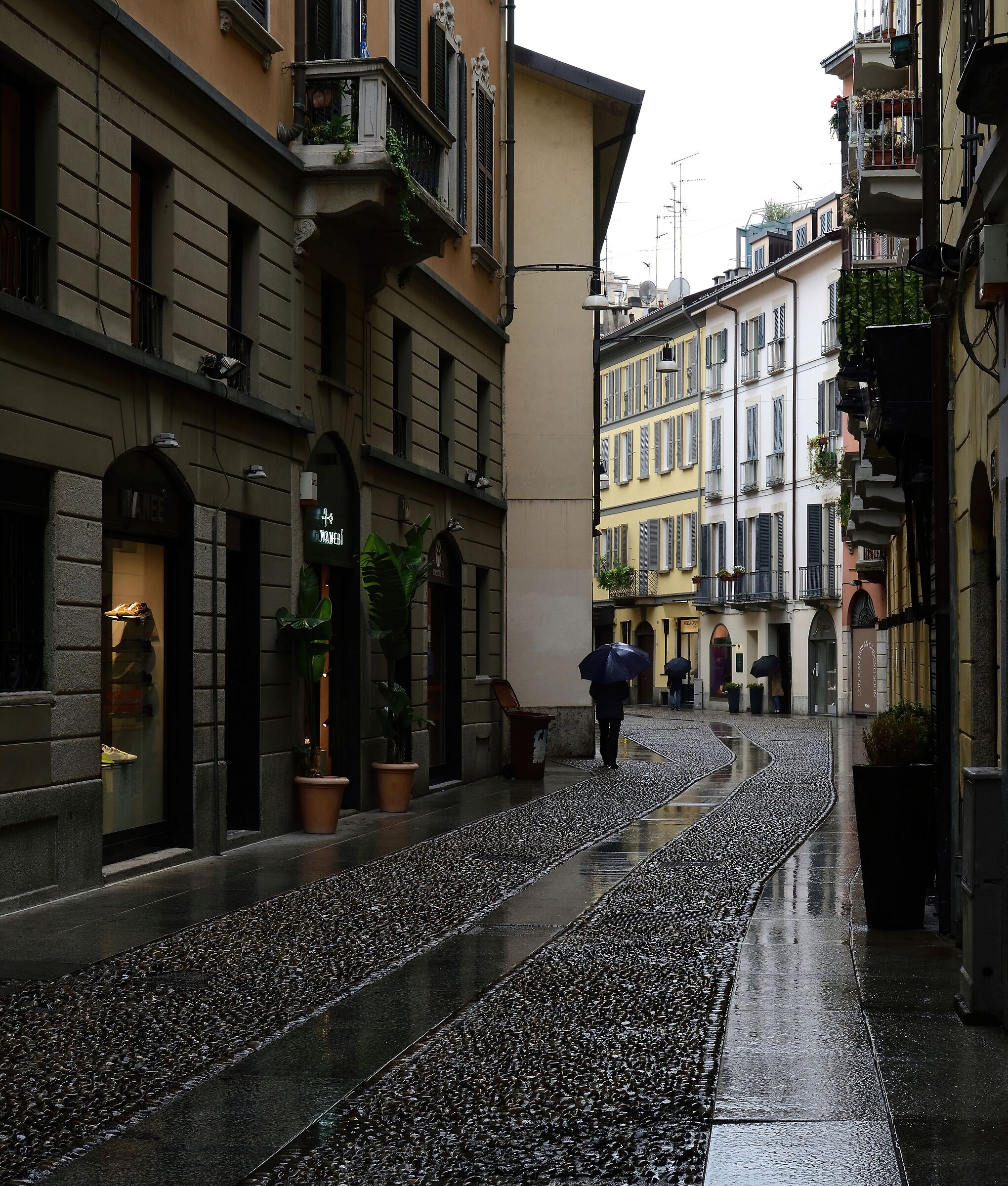 A Brera sotto la pioggia