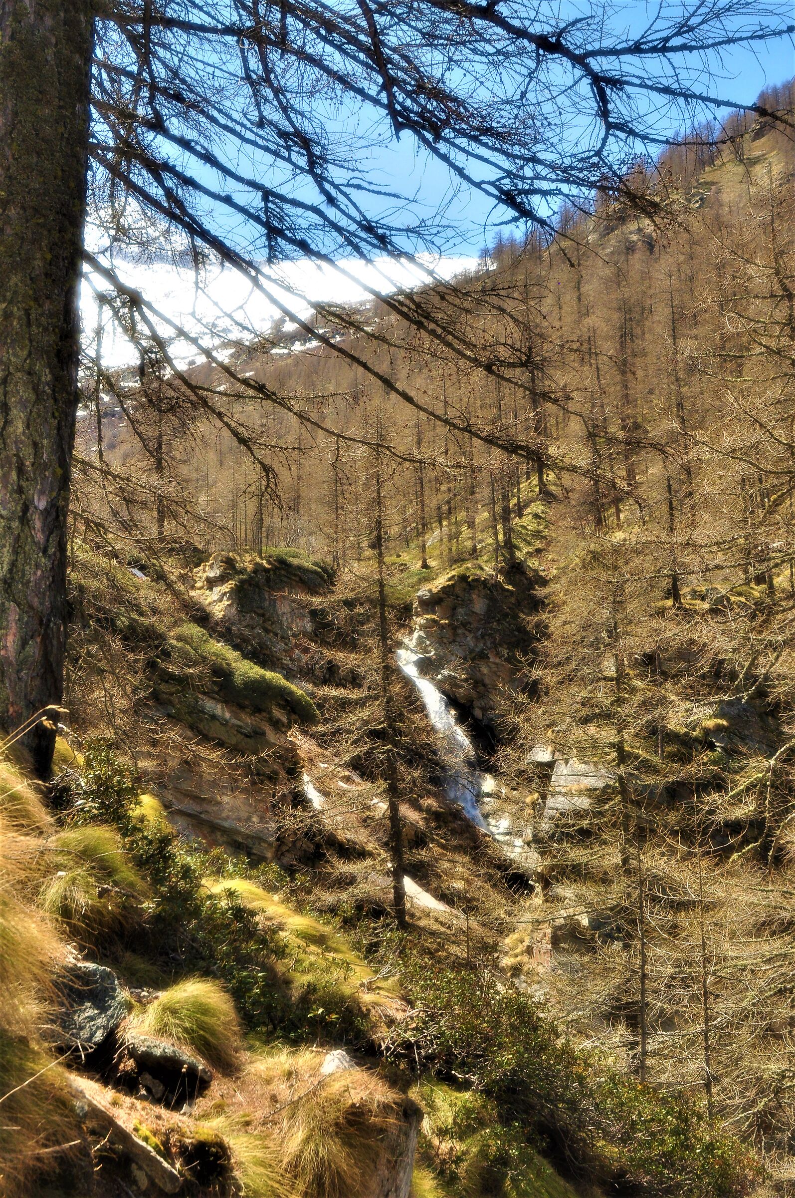 La cascata nel bosoc