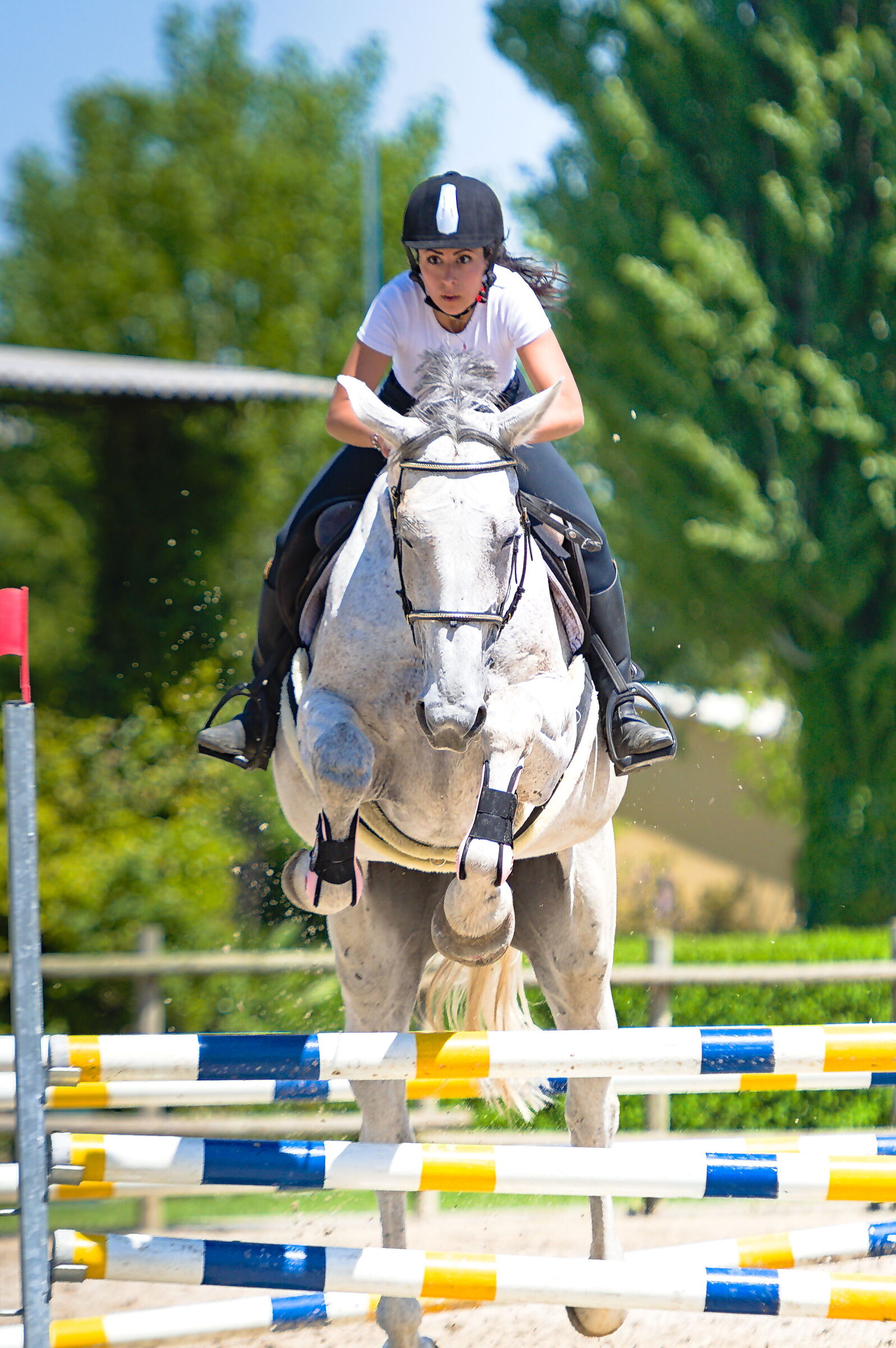 Category 100, front shot