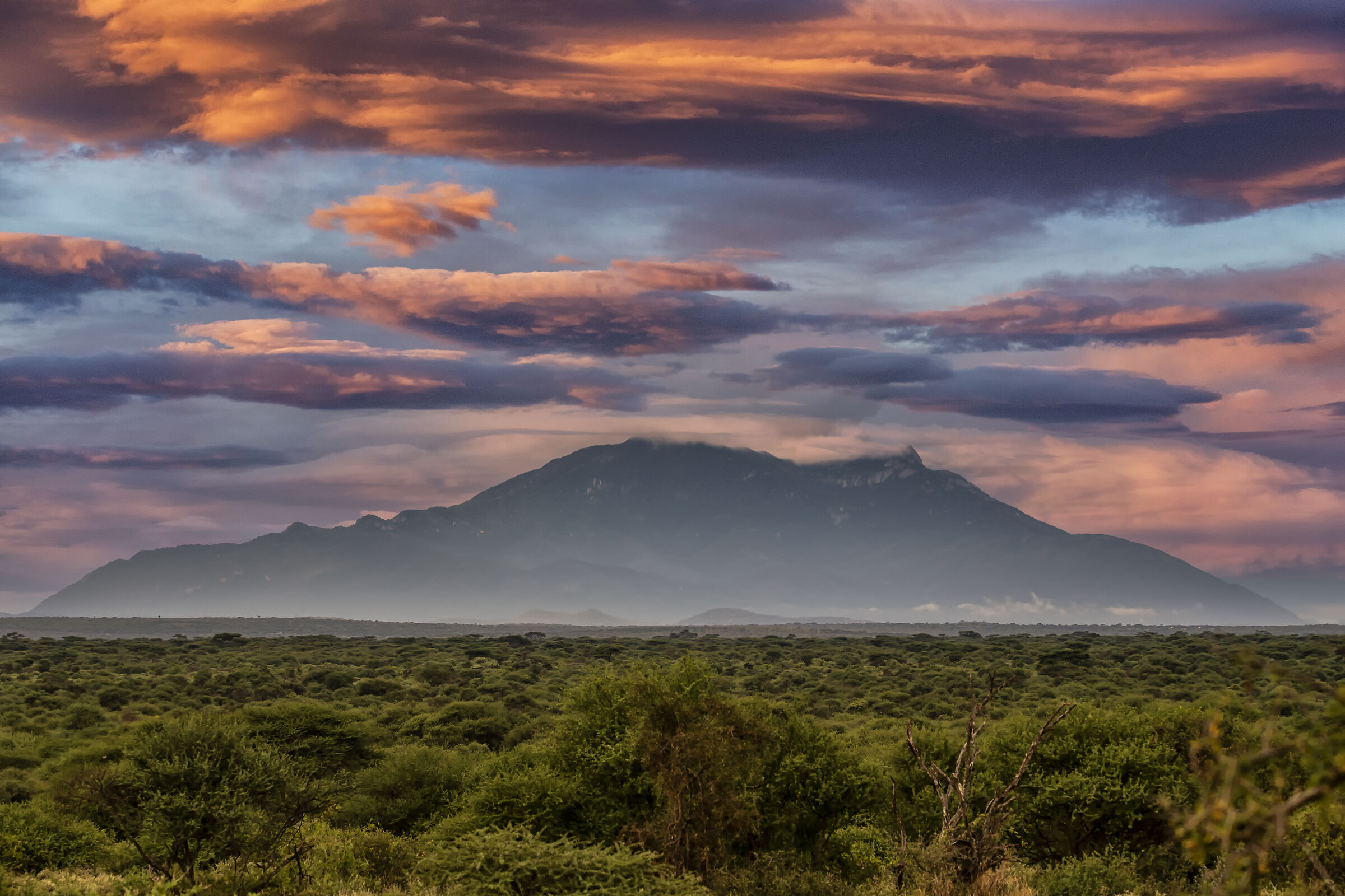 Amboseli National Park Kenya