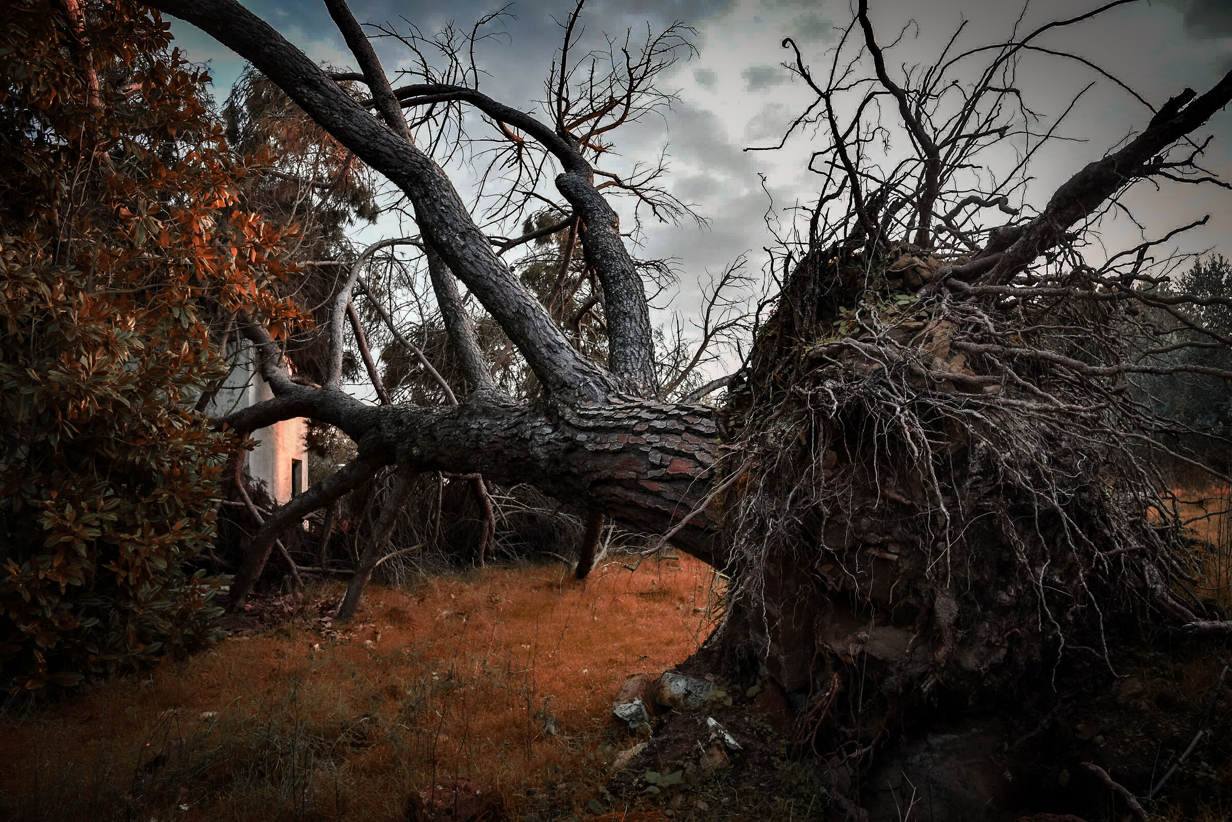 Abandoned, Abandoned, 1