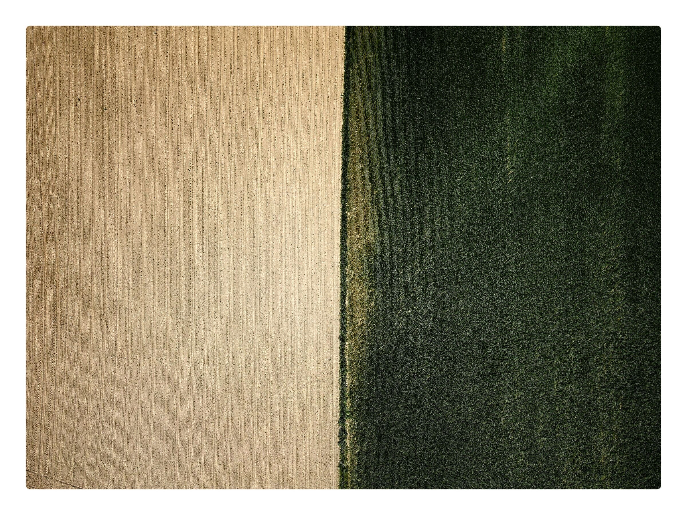 Untitled Photo