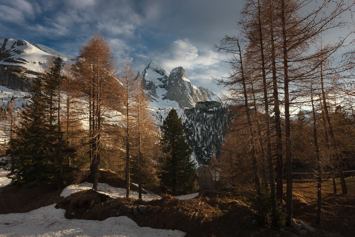 Autumn out of season ...