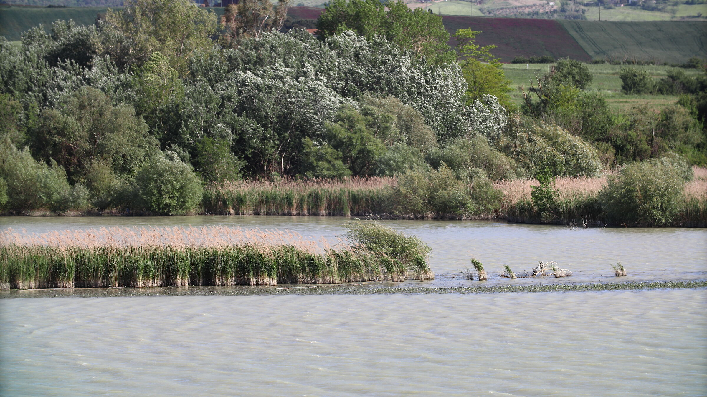 Lake Santa Luce. Tuscany