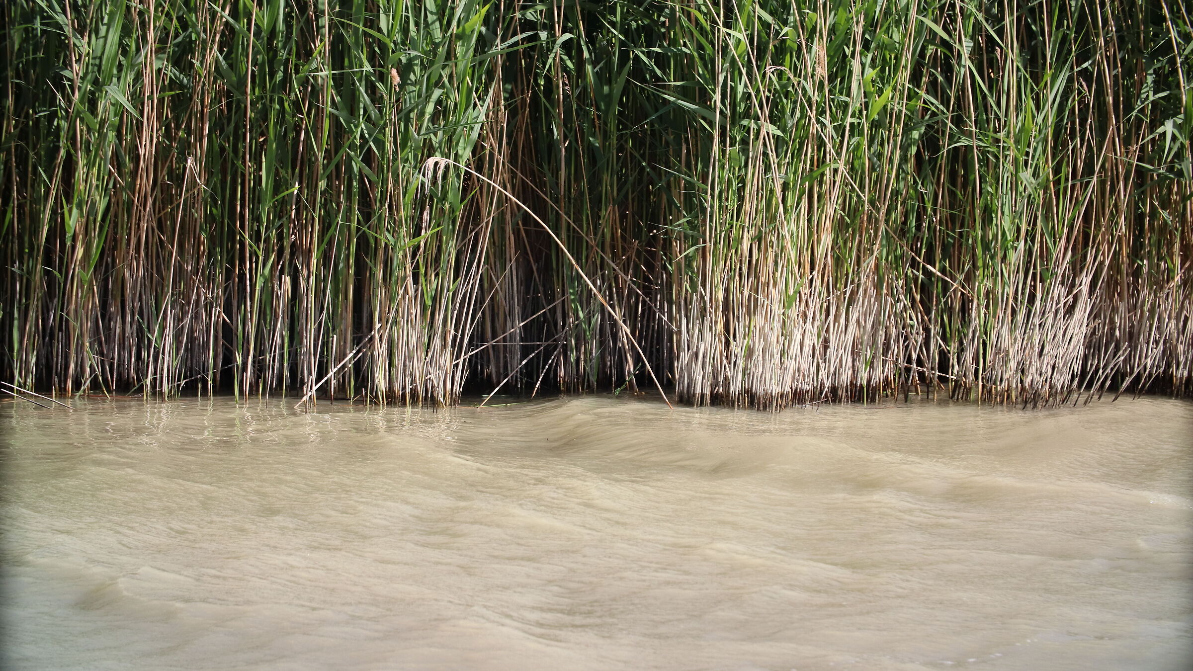 Lake Santa Luce. Tuscany