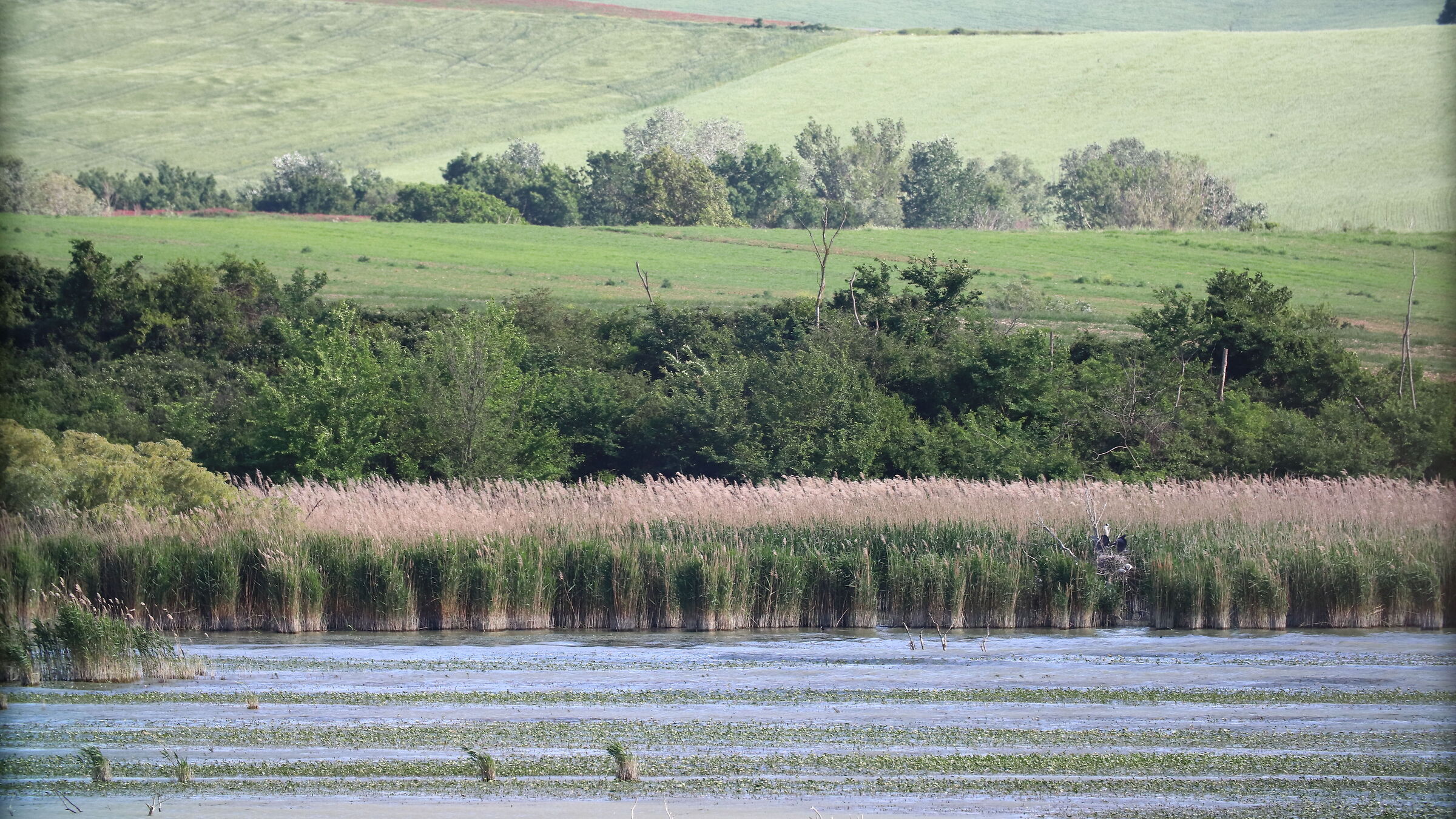 Lake Santa Luce. Tuscany